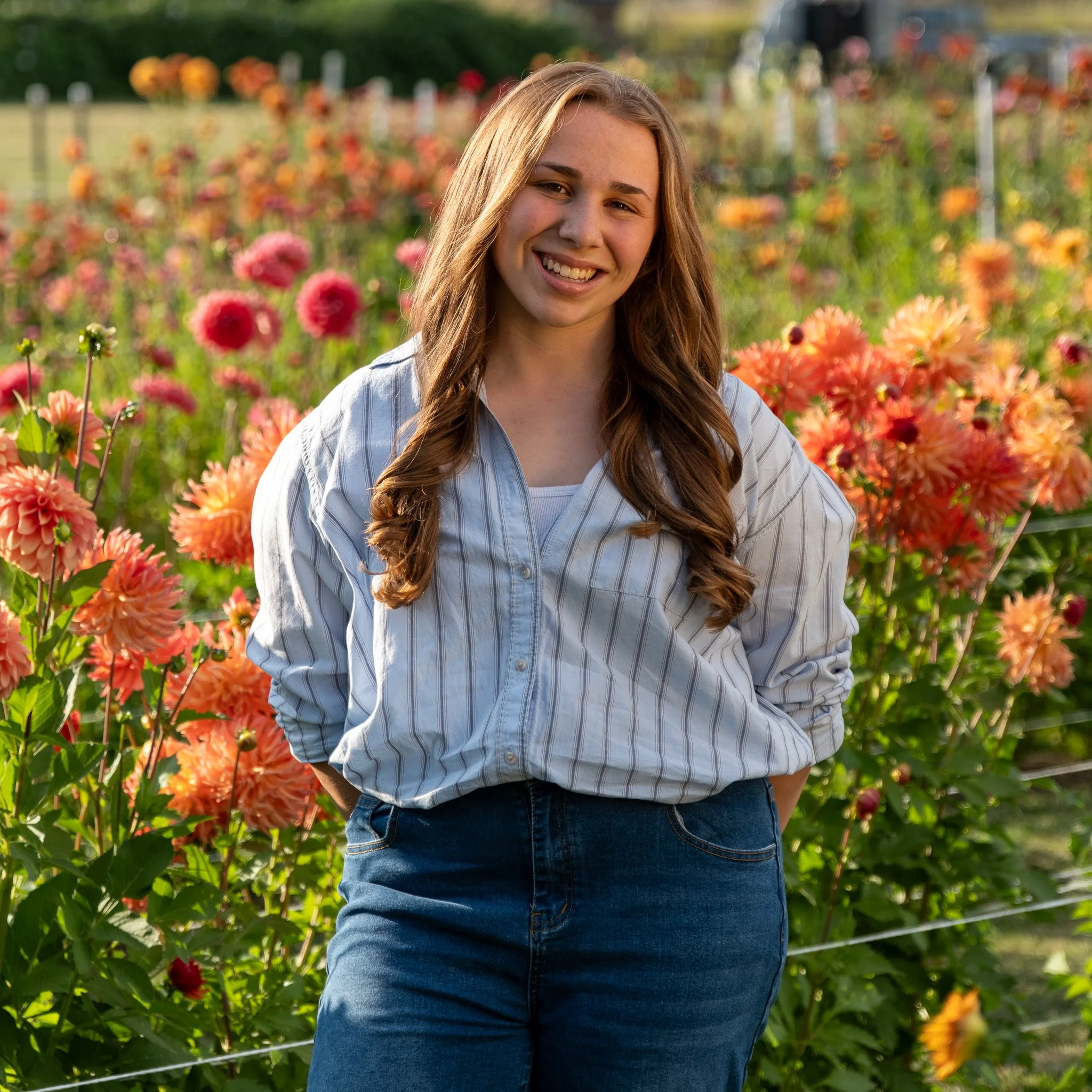 senior portrait Bee Merry Farm Mount Vernon Wa