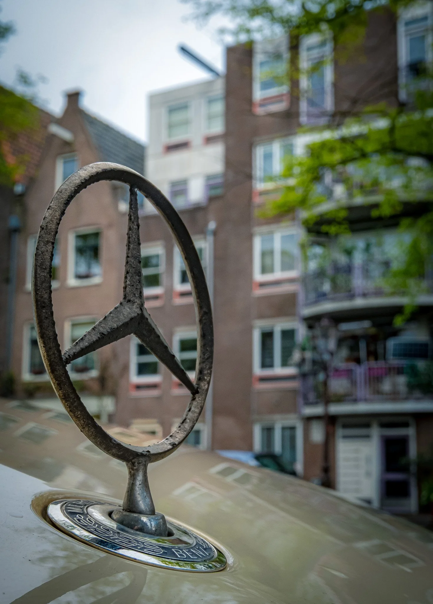 Close-up of a vintage Mercedes-Benz star hood ornament with traditional historic canal houses and trees in Amsterdam, The Netherlands.  