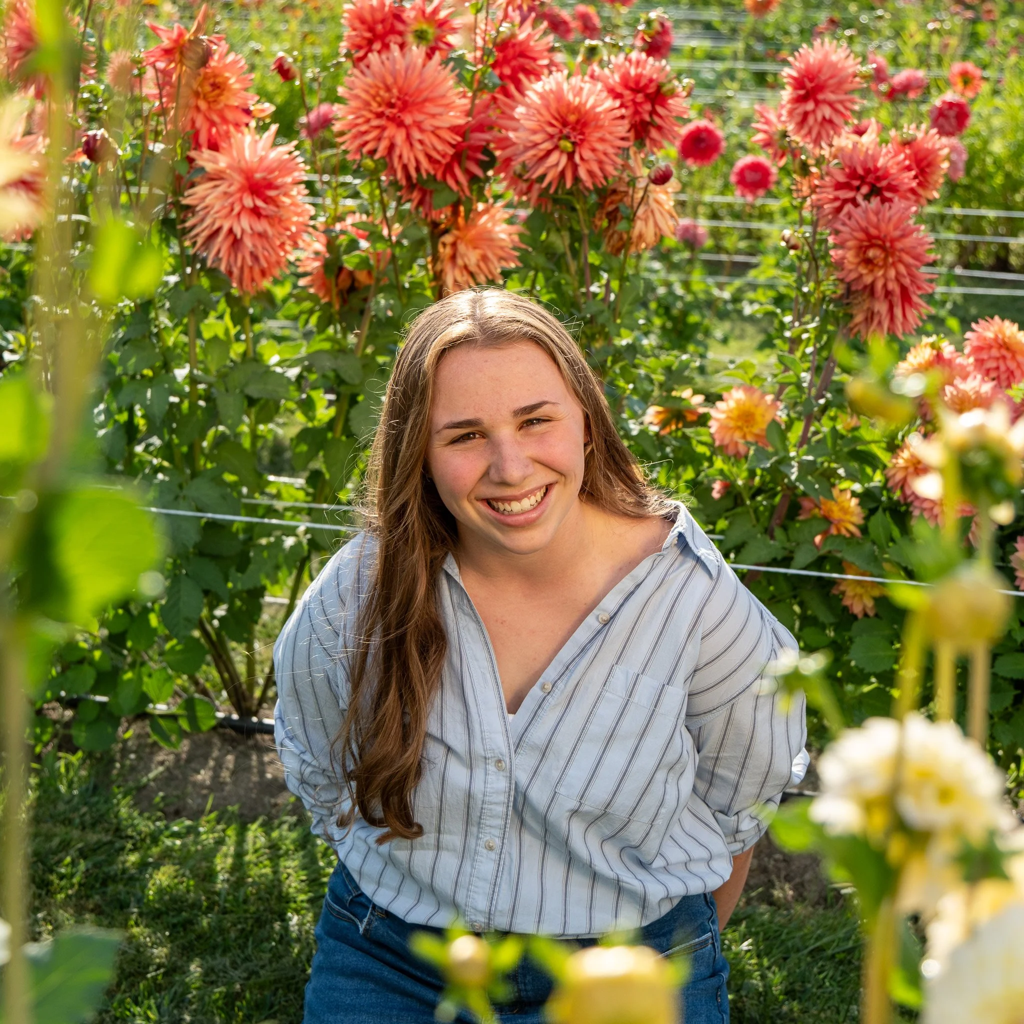 senior portrait Bee Merry Farm Mount Vernon Wa