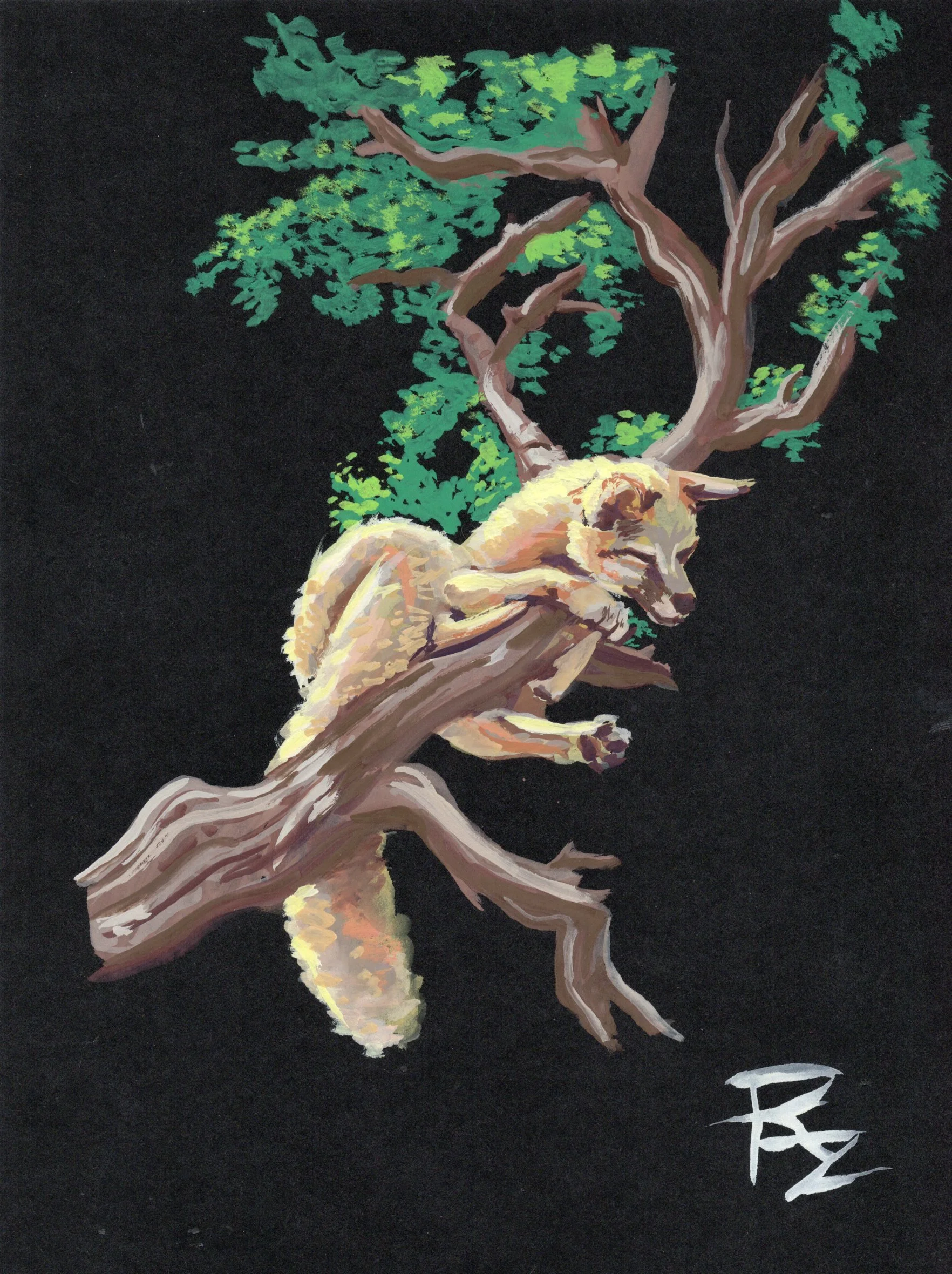 NM Grey Fox Art Print
