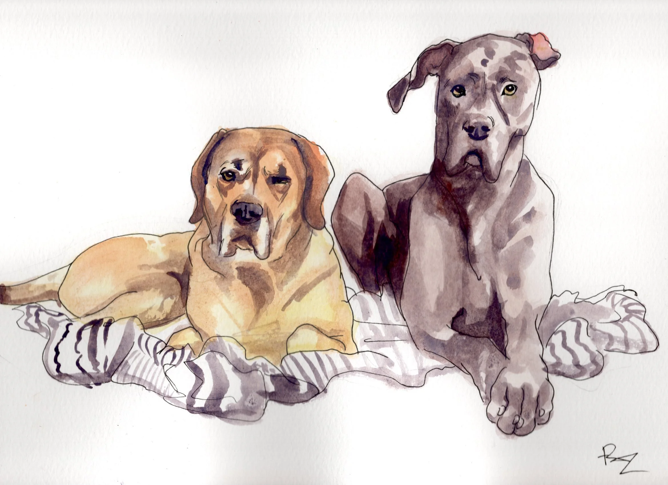 Dolly and Dude Watercolor.jpg