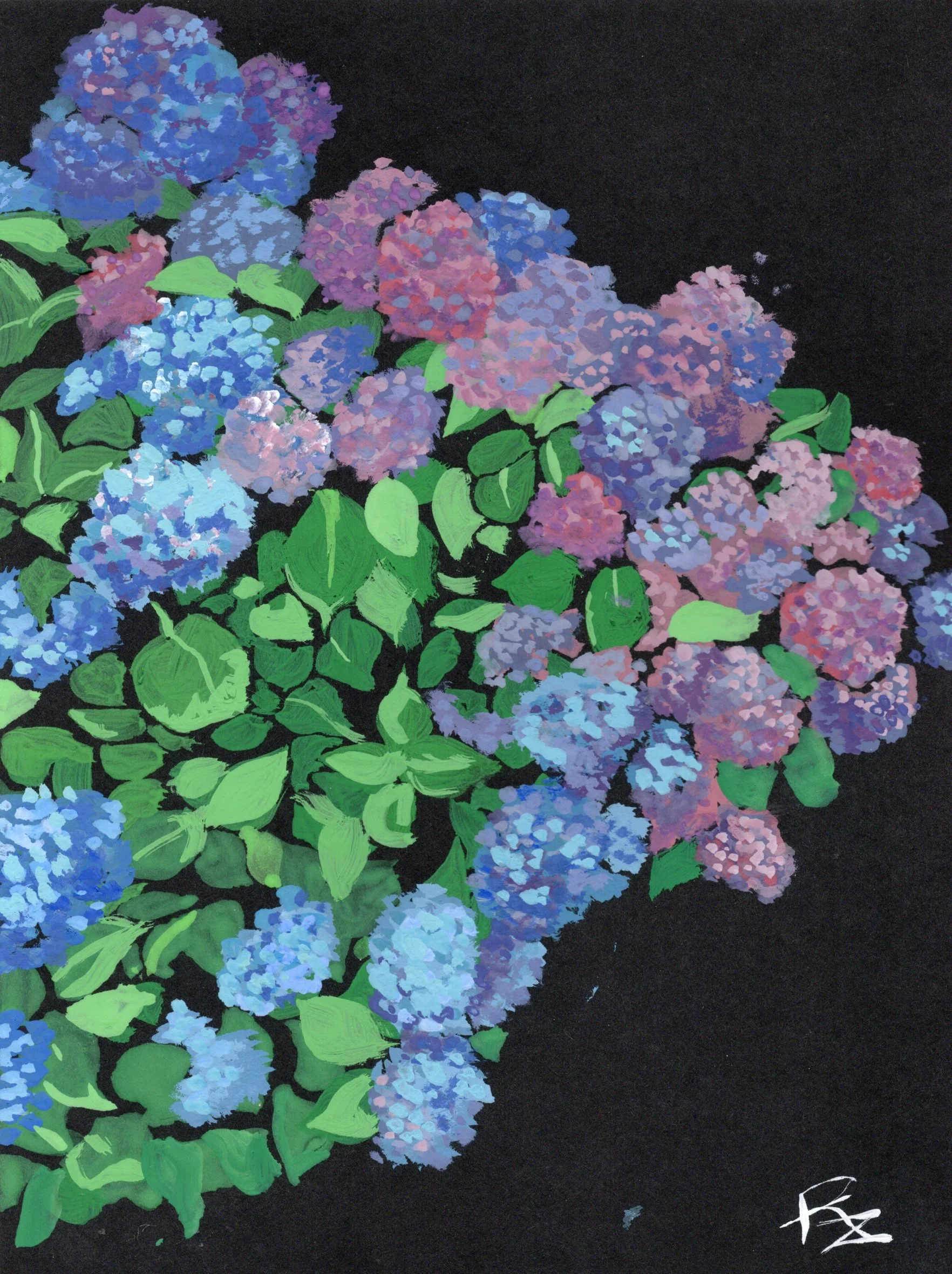 Hydrangea Art Print
