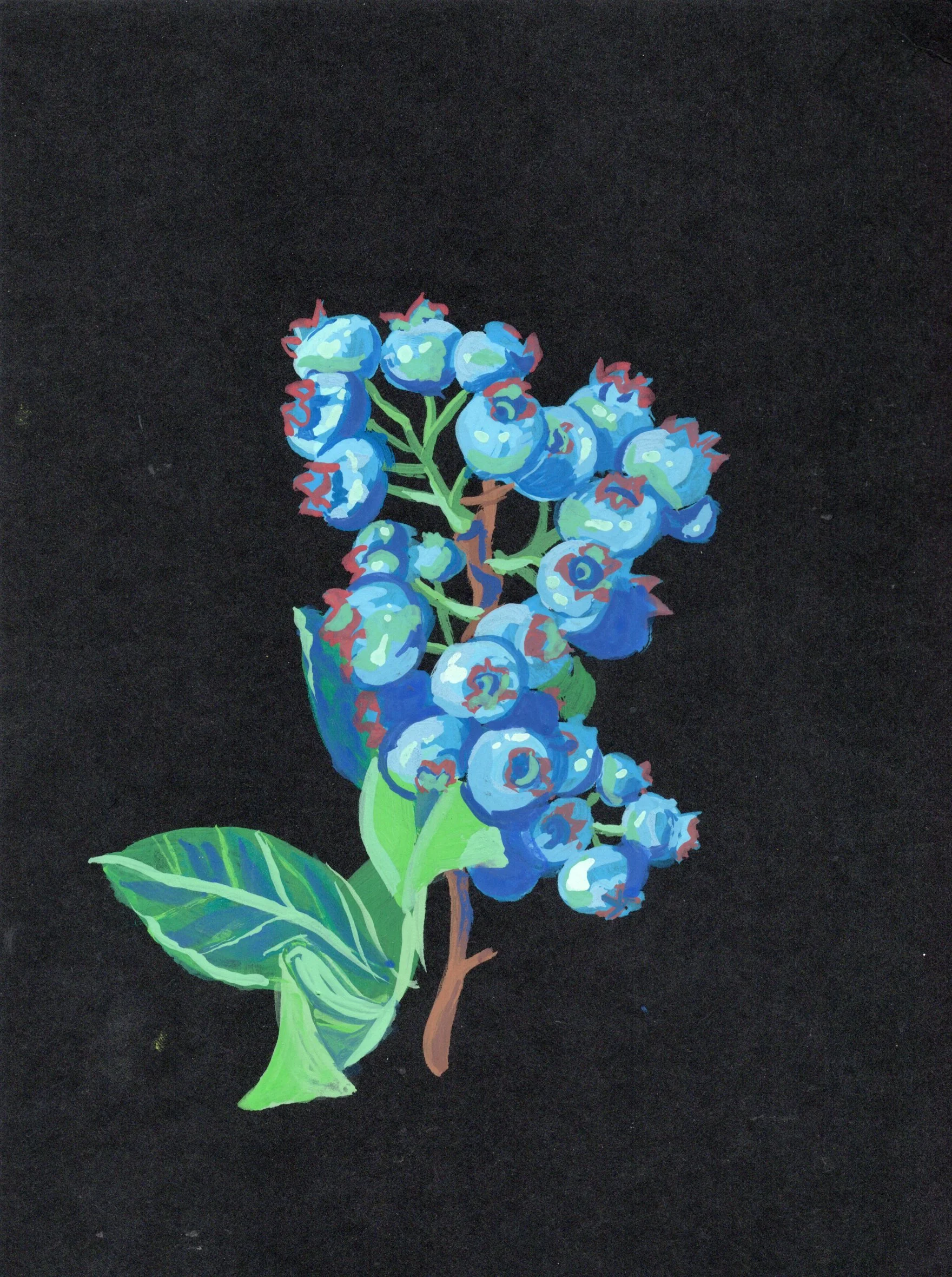 Blueberries Art Print