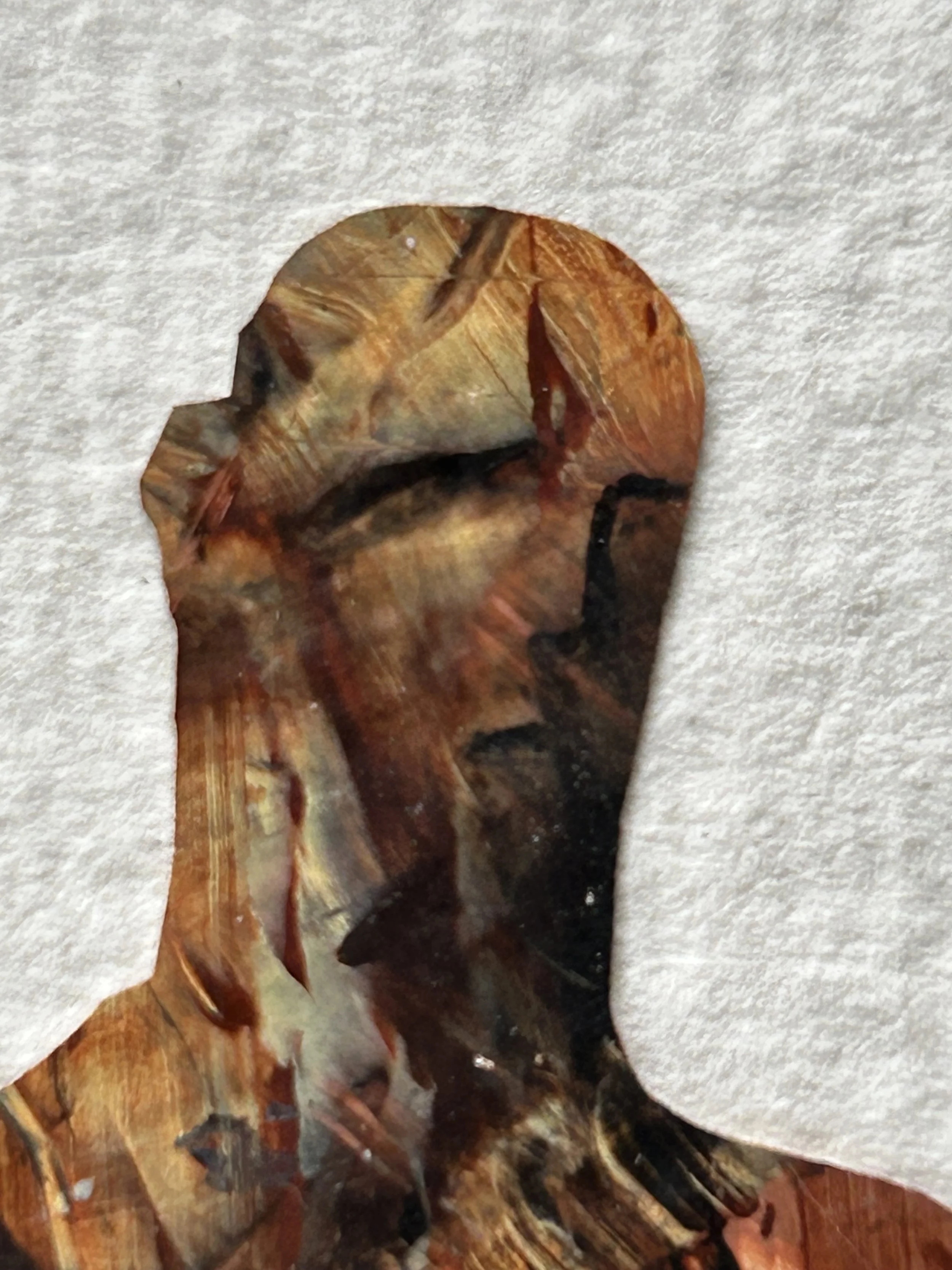 M Westervelt animal gesture acrylic skin on paper 6"x7".jpeg