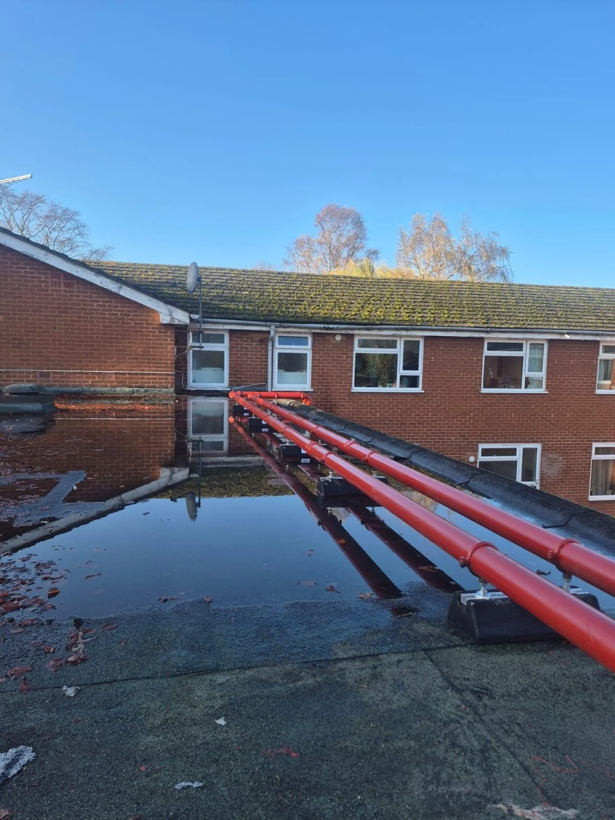 A photo of a red brick apartment building with a moss-covered roof against a clear blue sky, reflected in a puddle on the ground, with a fire escape ladder with red pipes leading to a window.
