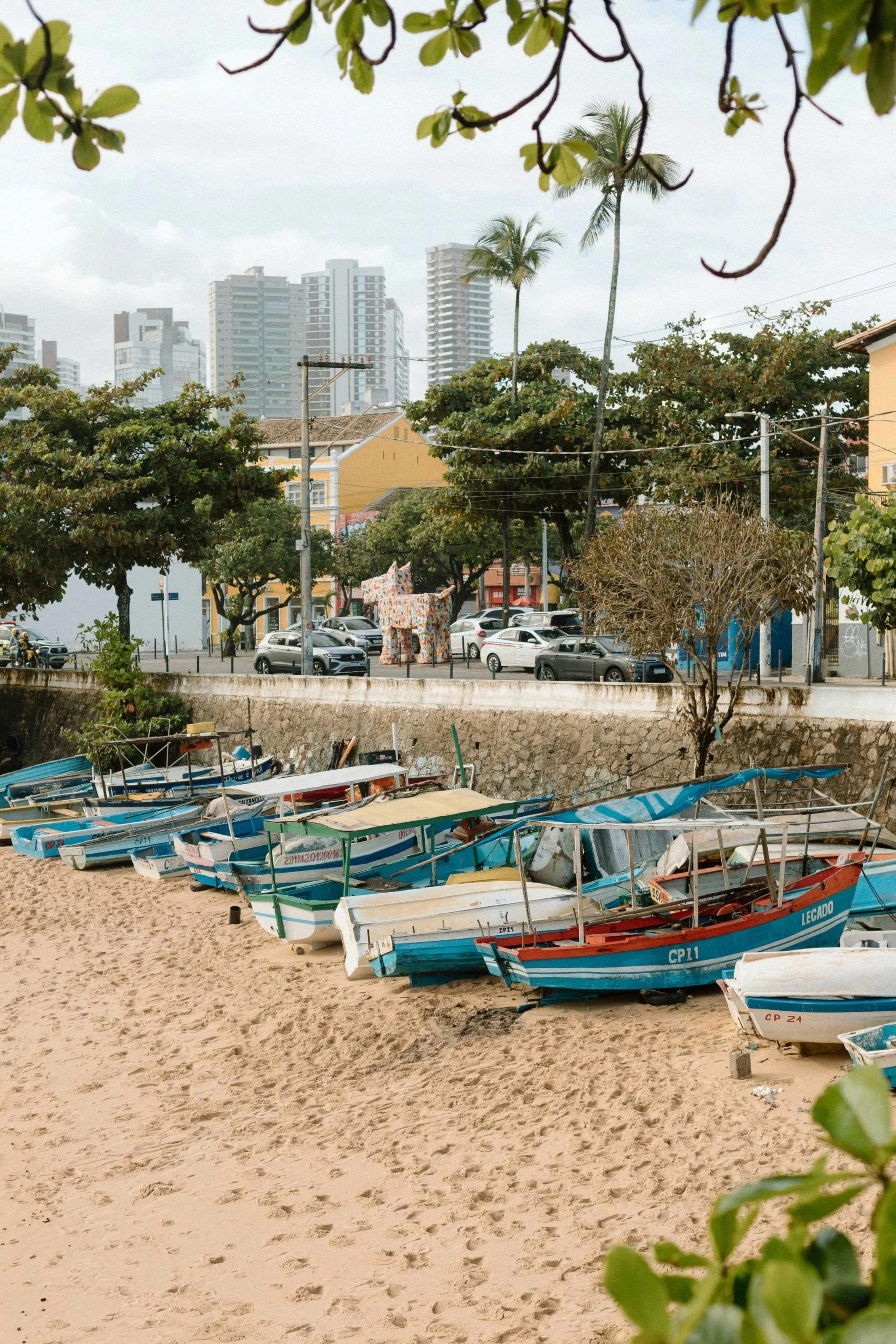 A row of small boats on sandy ground near a water body, with trees and city buildings in the background.