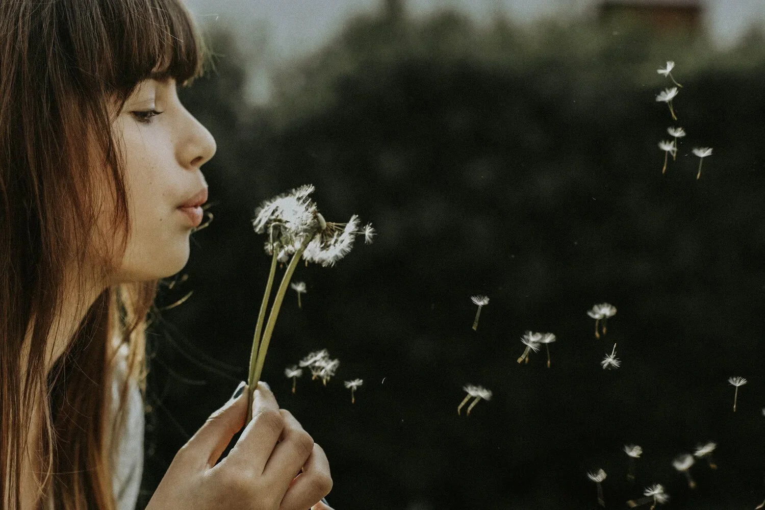 Understanding the Mechanics of Intentional Breathing