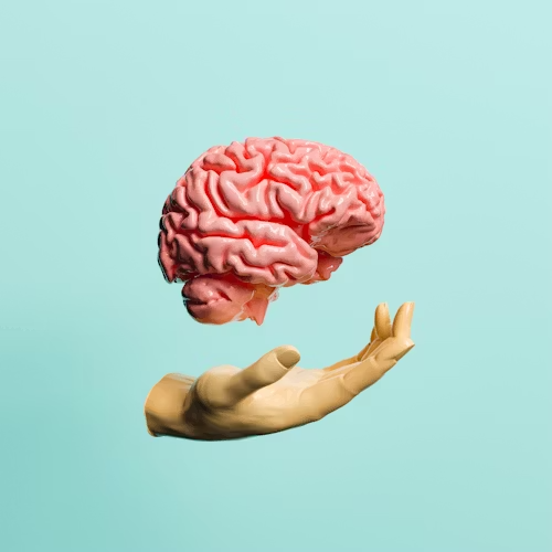 Hypnotherapy Supports the Nervous System and Whole-Body Wellness
