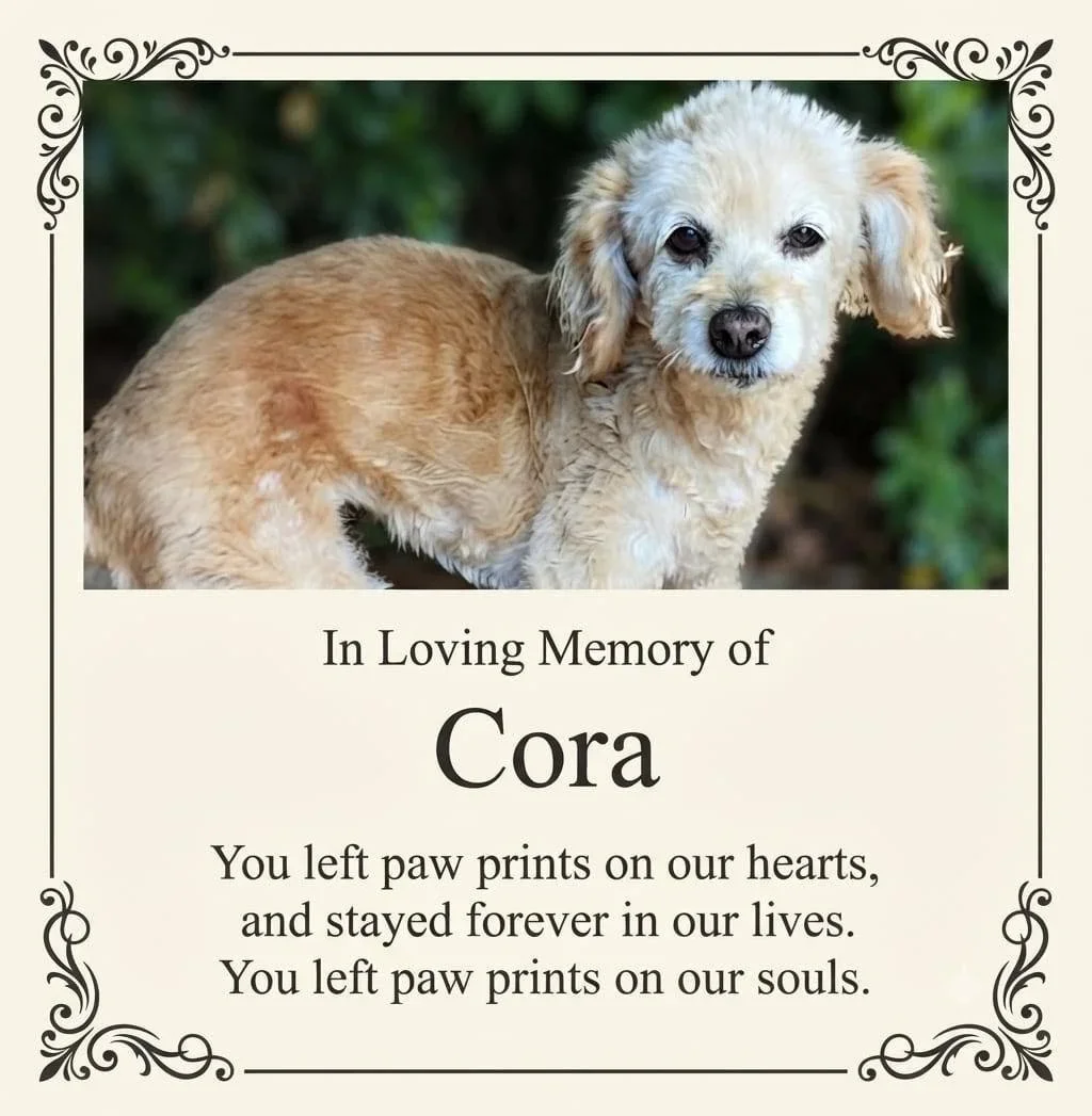 Grieving the loss of Cora, my first dog