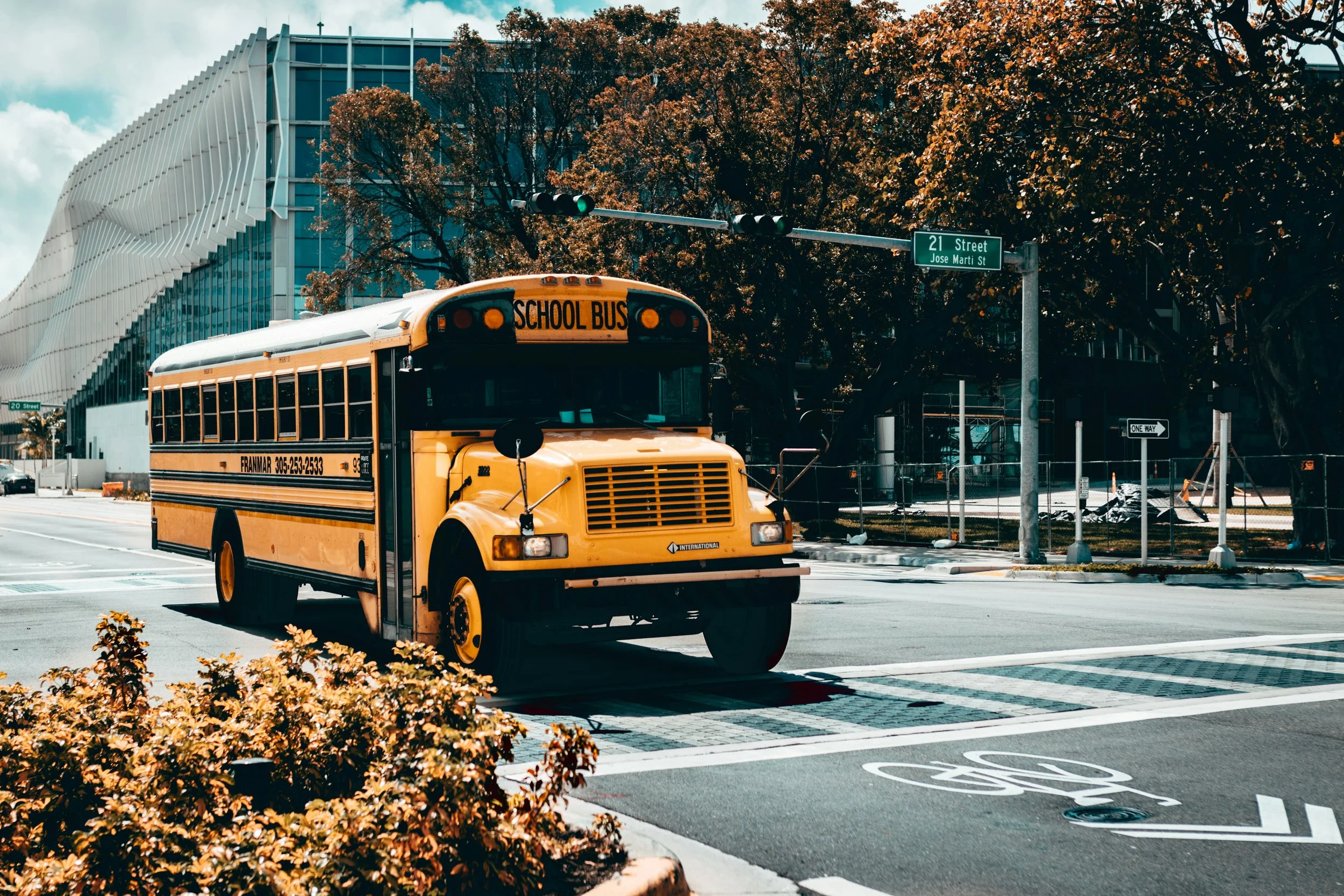 School bus moving through green light. Building with a lot of windows behind on left upper side. Fall season trees of brown behind bus on the right and in front left bottom corner.