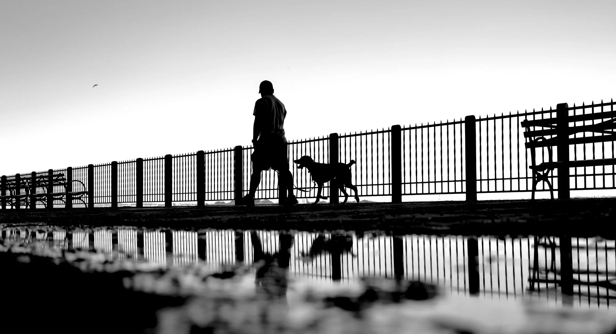 Man with Dog B&W.jpg