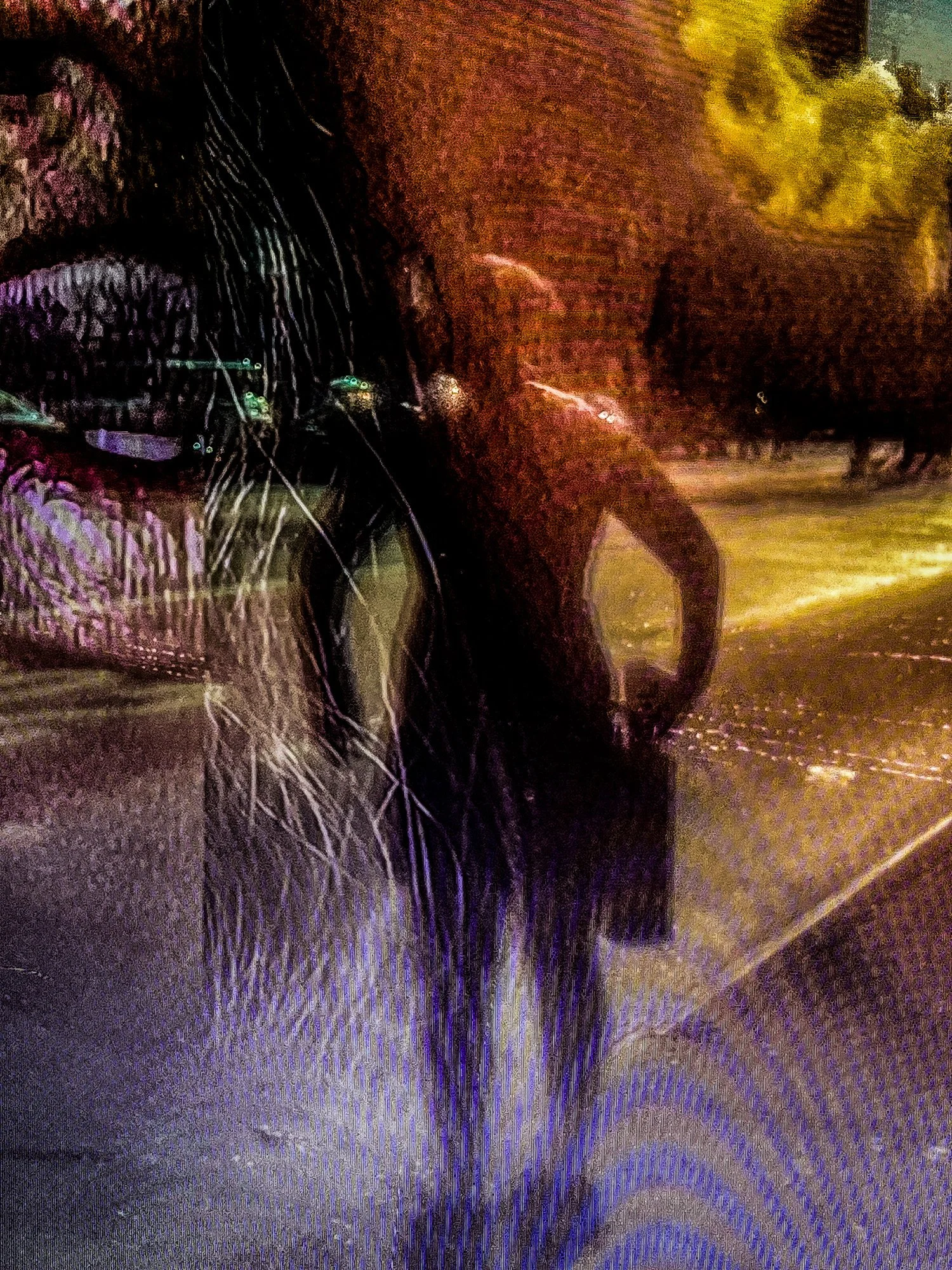 From the Bus Stop.jpg