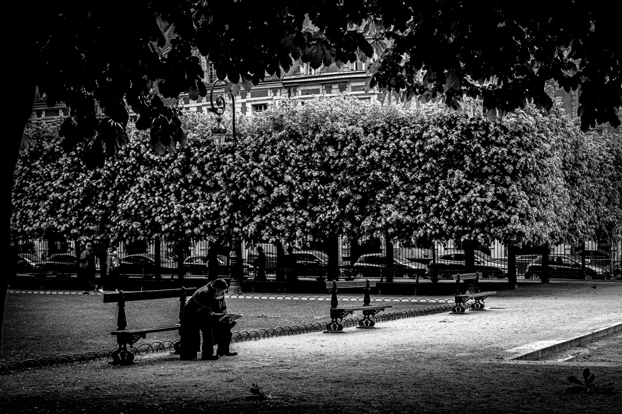 Paris Park.jpg