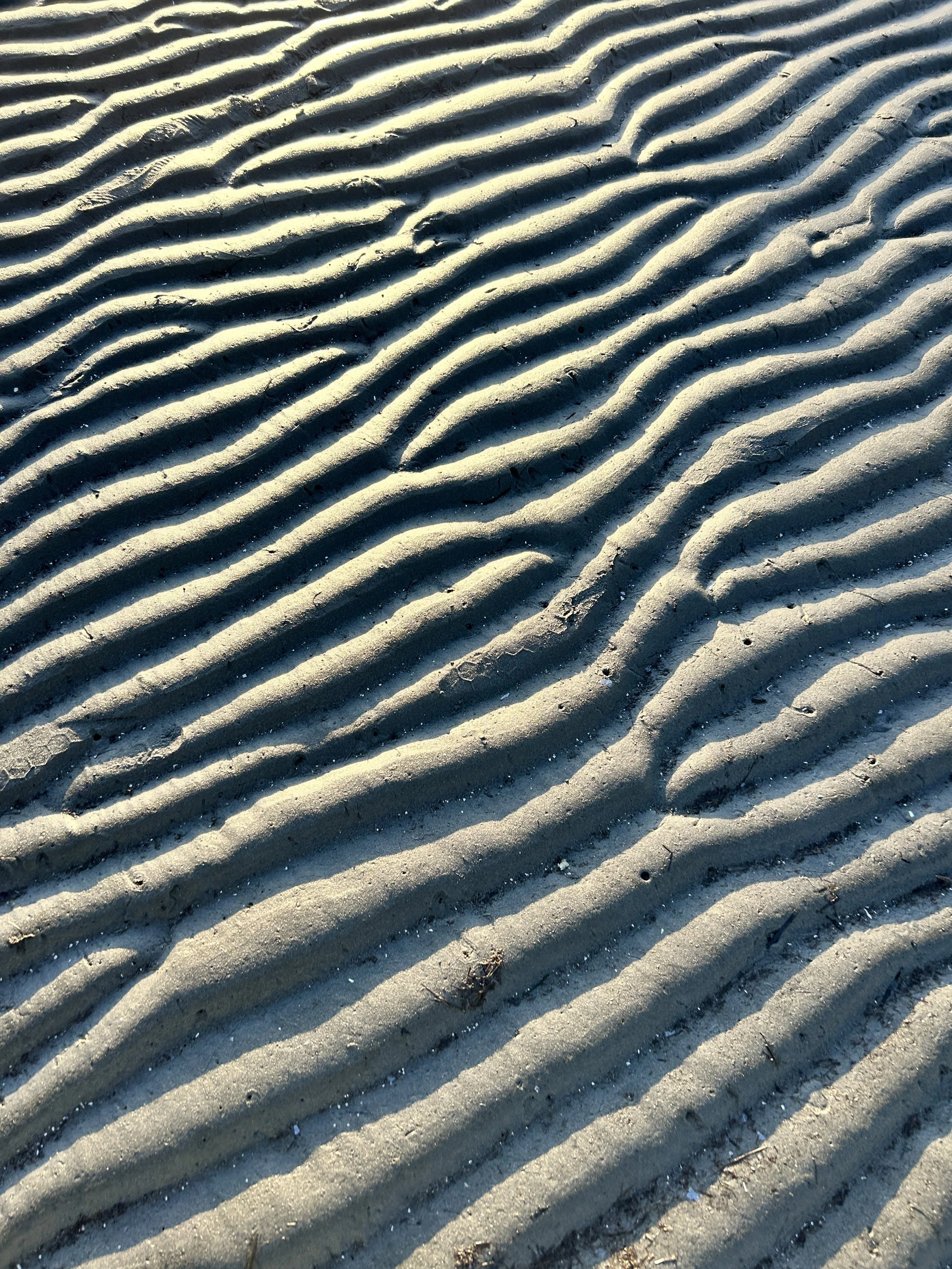 Close-up of wet sand with ridges and small debris.