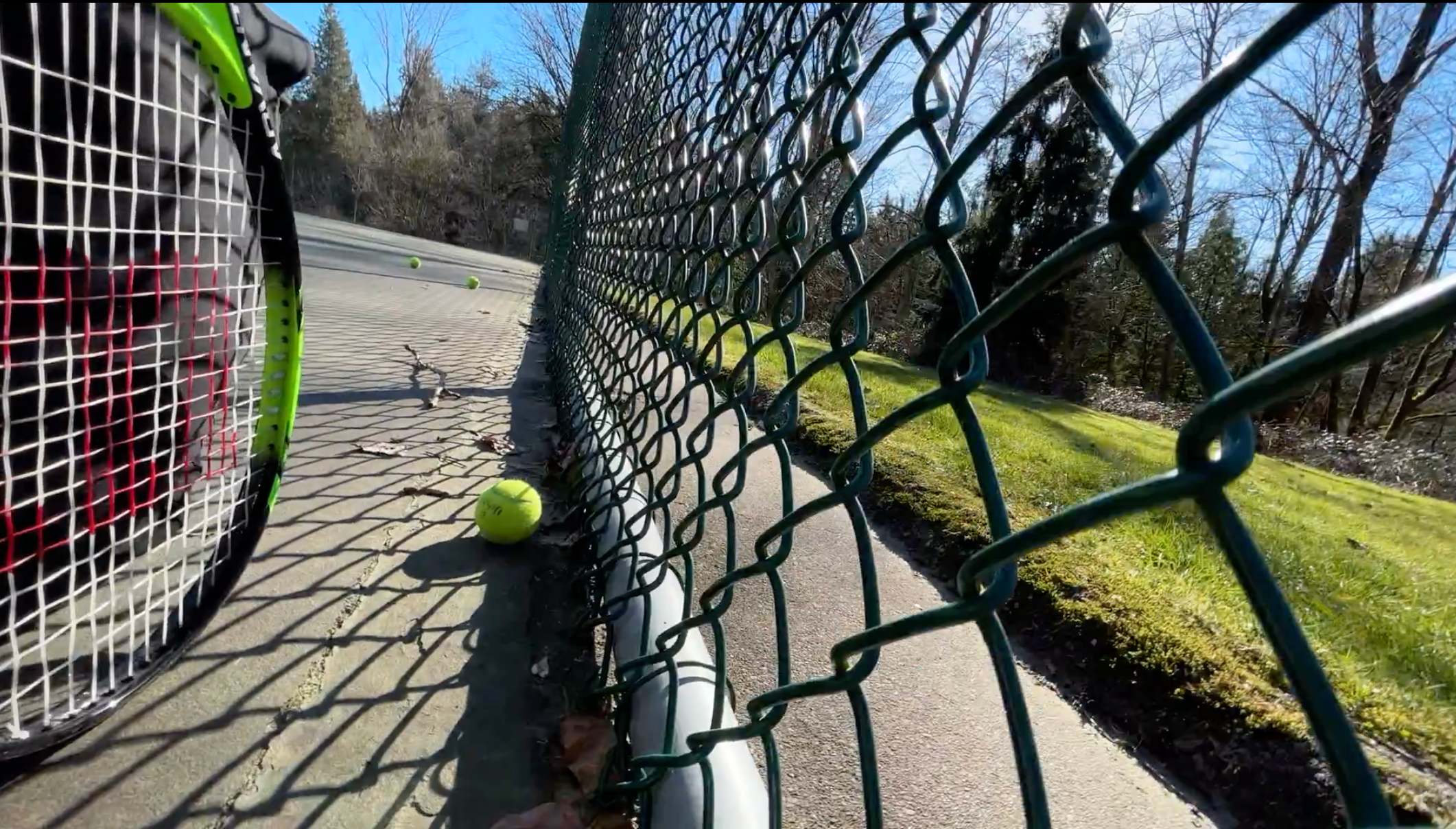 A tennis racket leaning against a chain-link fence, with a tennis ball on the ground nearby, on an outdoor tennis court during daytime with trees and a clear blue sky in the background.