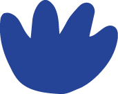 Solid blue abstract shape resembling a hand or splash on a white background.
