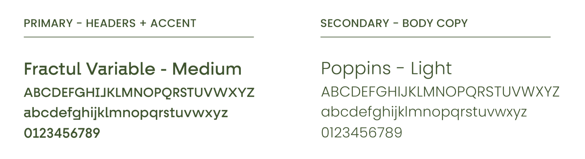 Design comparison chart with headers and fonts. The left side titled 'PRIMARY - HEADERS + ACCENT' displays a medium fractured variable font with uppercase and lowercase alphabet and numbers. The right side titled 'SECONDARY - BODY COPY' shows a light poppins font with the same characters.