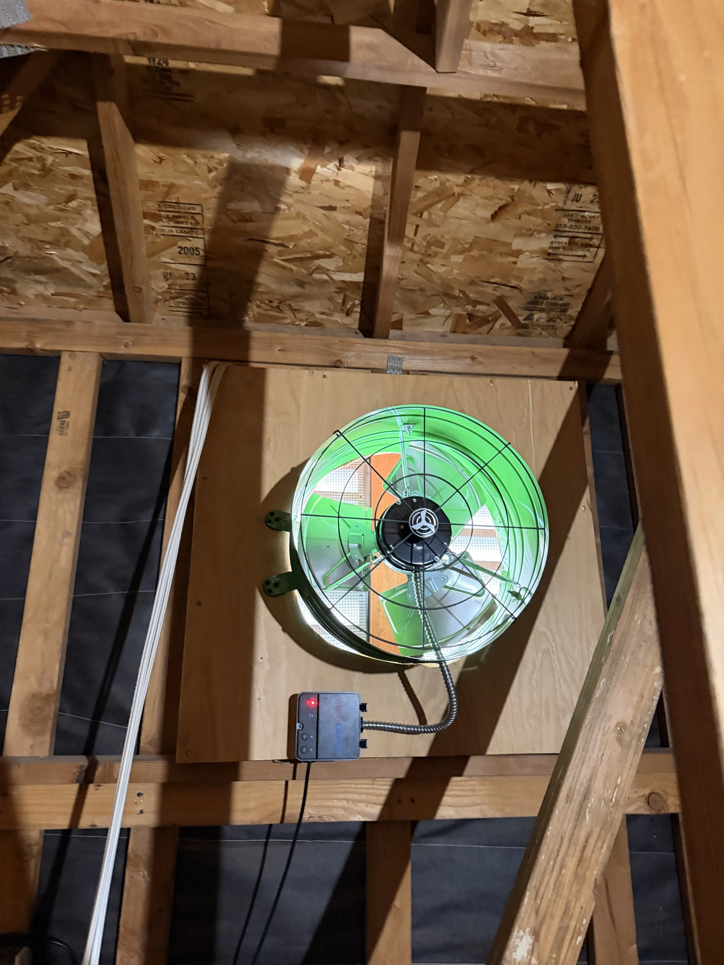 The image shows the underside of a wooden ceiling frame with an electric fan attached, providing ventilation. The fan has a green protective grill and is turned on, with its power box and connected wires visible.