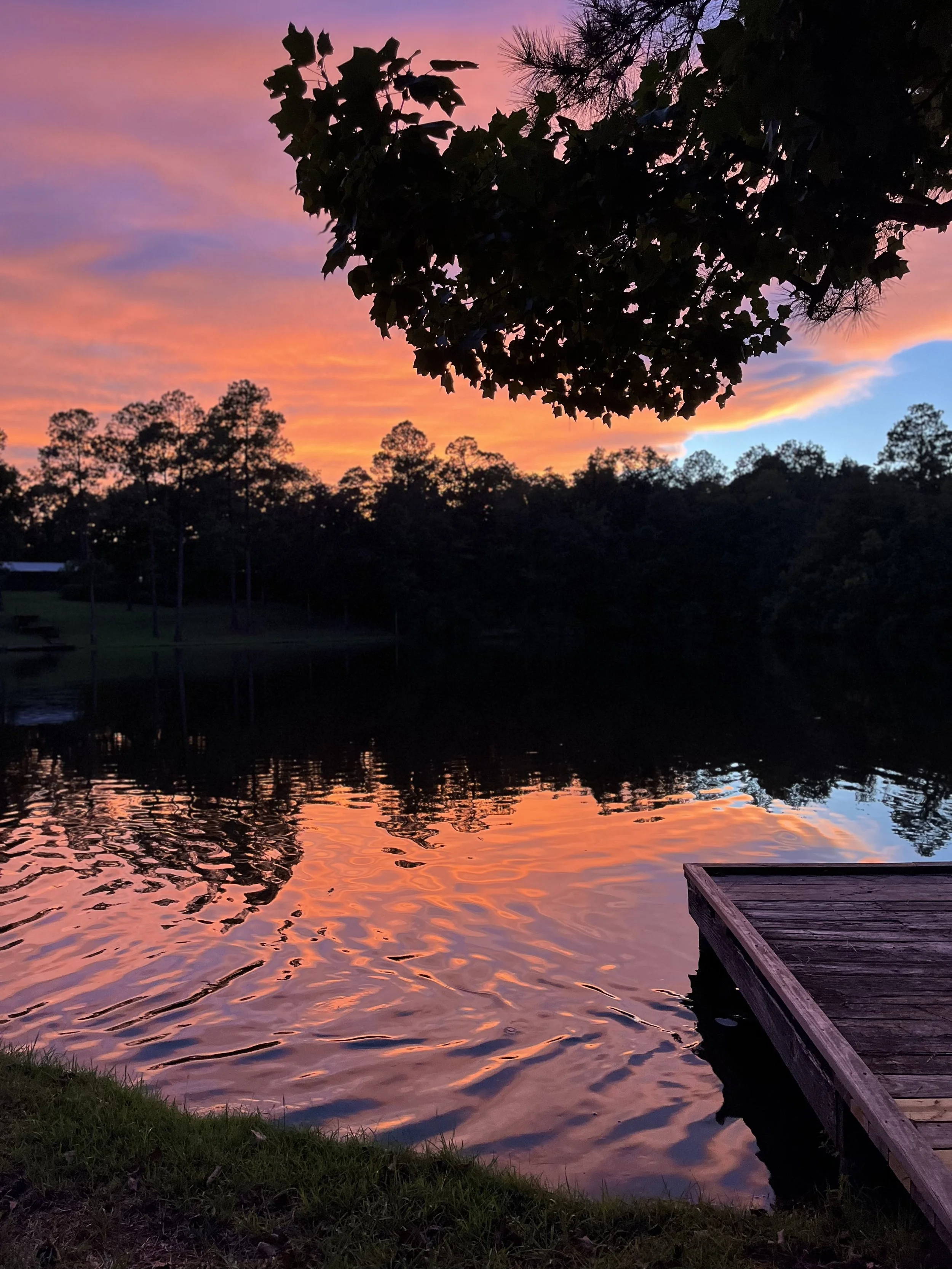 A sunset over a body of water with pink and orange clouds in the sky, silhouetted trees in the background, and a wooden dock extending into the water in the foreground.