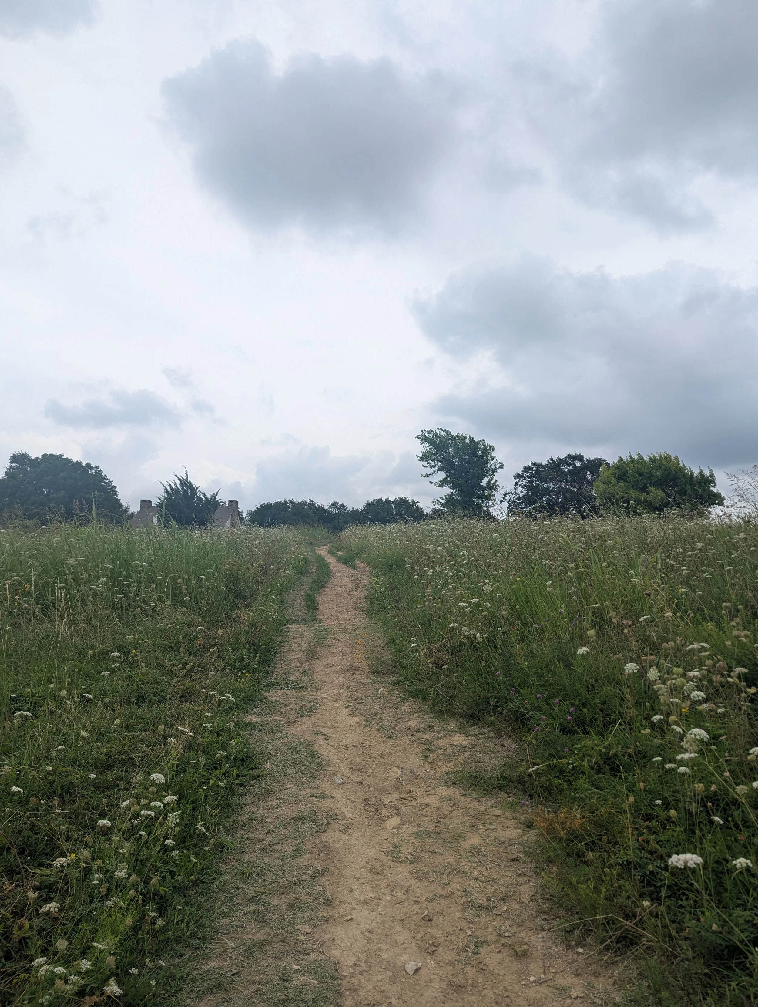 A dirt path runs through a grassy field with wildflowers, leading towards trees on the horizon under a cloudy sky.