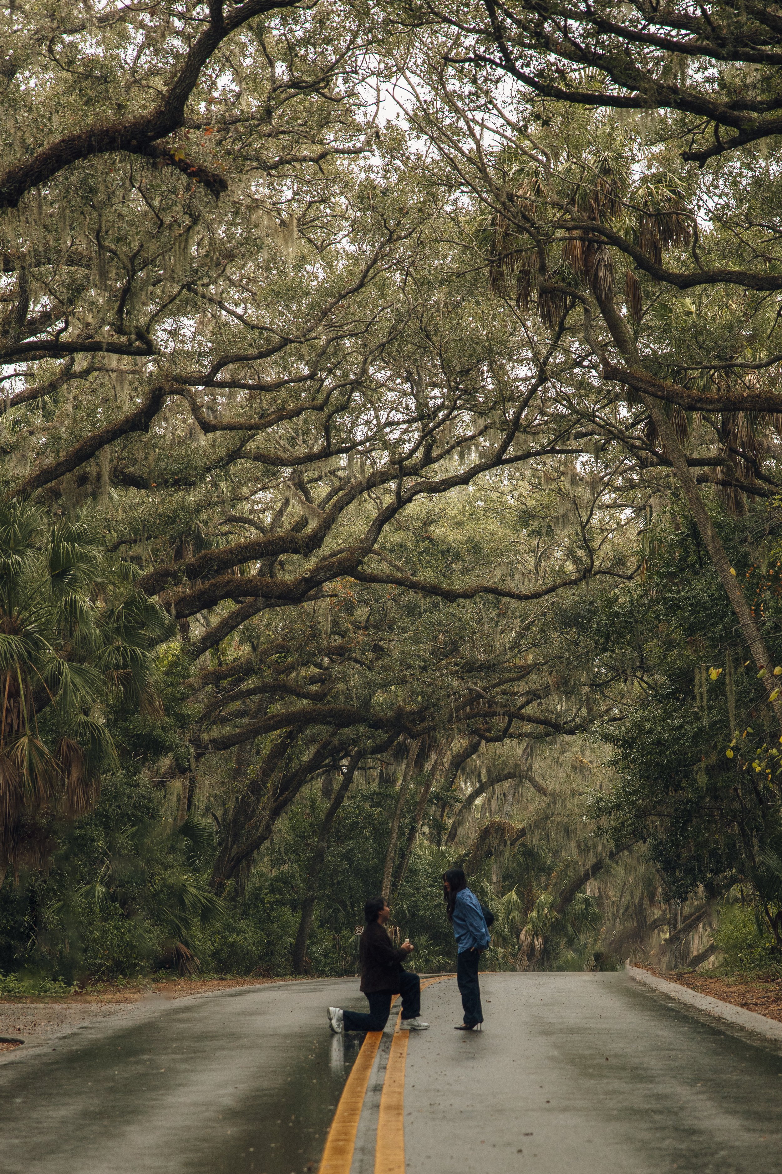 Two people in dark and blue jackets are on a wet road with yellow lines, surrounded by dense trees with hanging moss. One person is kneeling, and the other is standing, looking at each other.