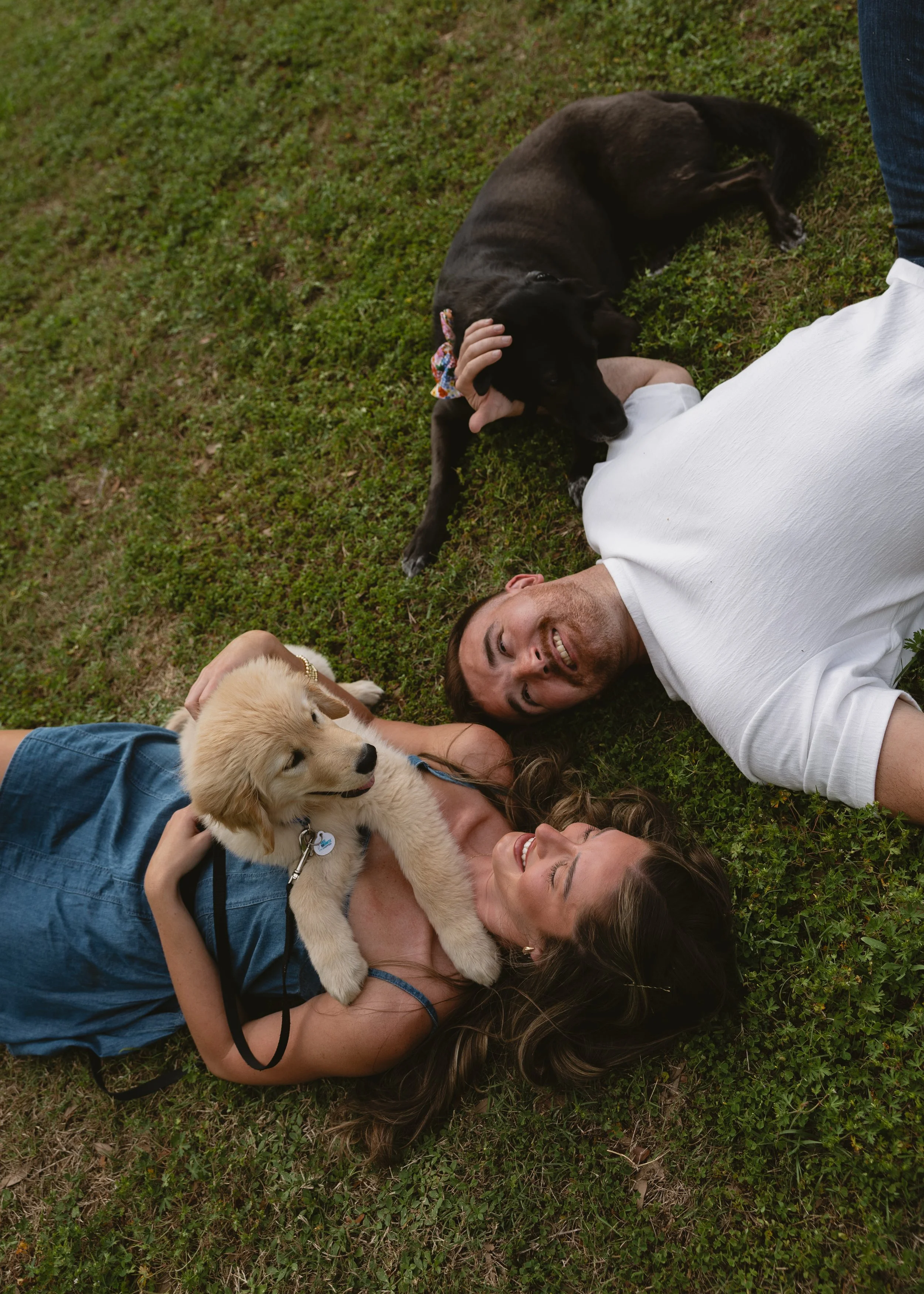 Two women and two men laying on grass with two dogs, one black and one golden retriever, in a park or garden.