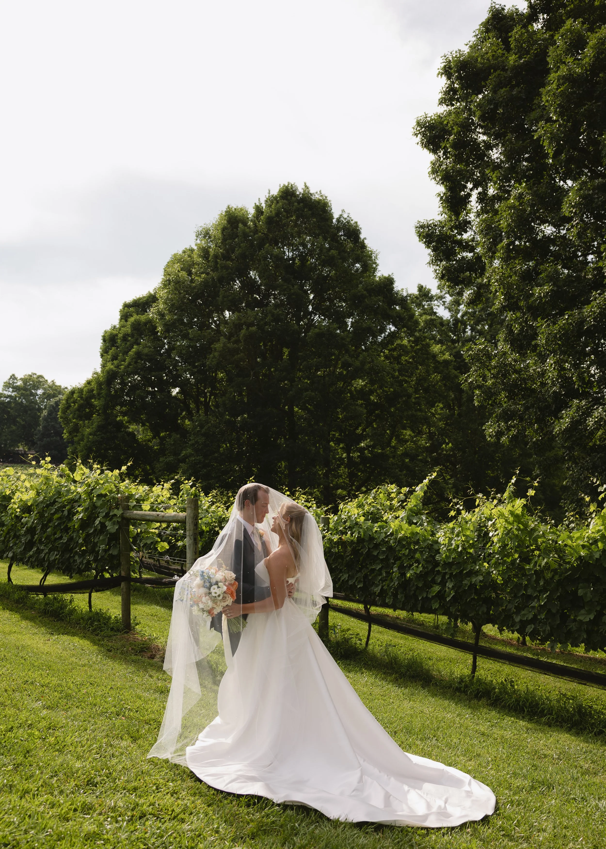A bride and groom sharing a kiss outdoors in a vineyard, with trees and a cloudy sky in the background.