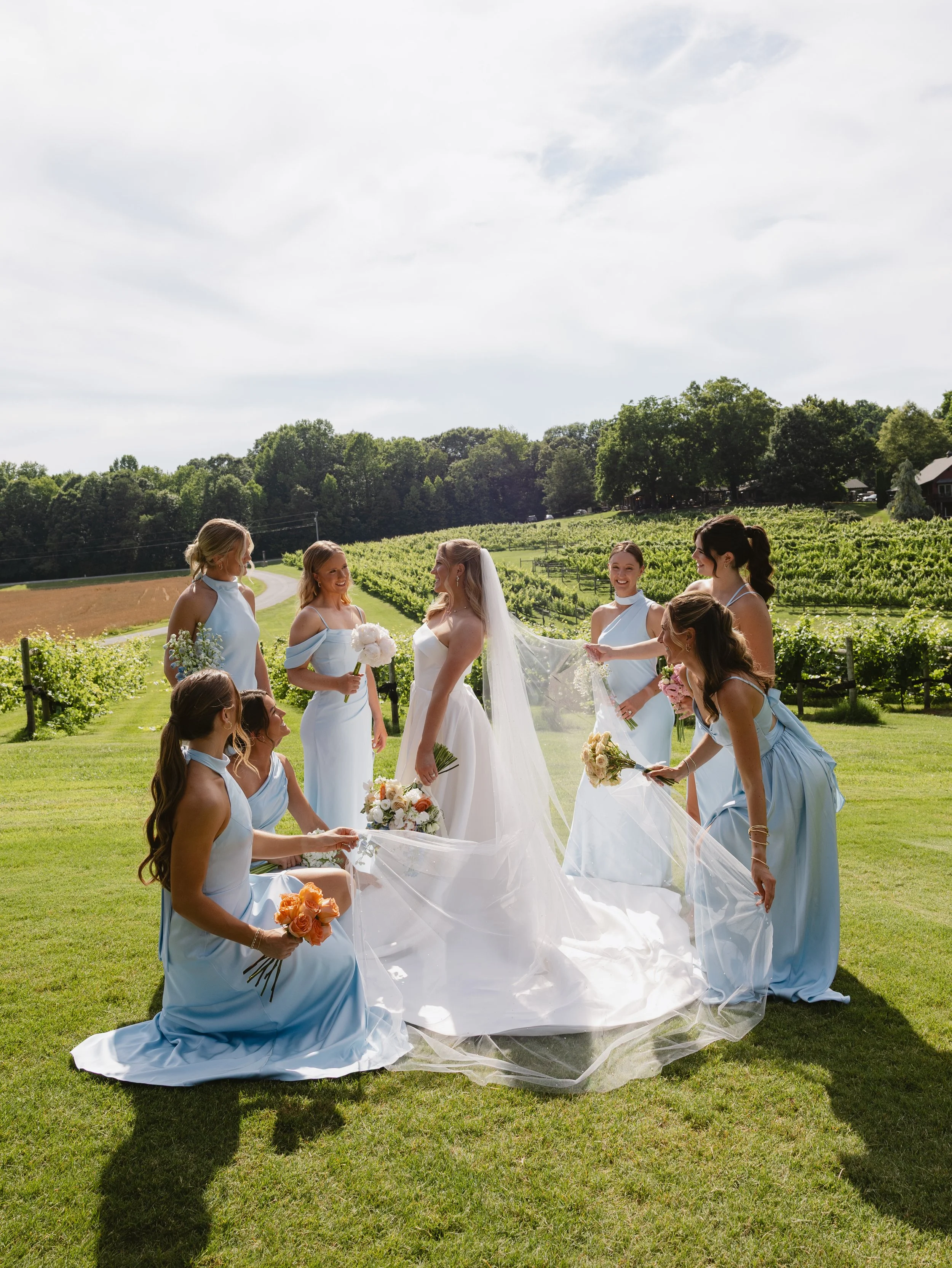 A bride and bridesmaids standing outdoors on a sunny day in a scenic countryside with trees, hills, and vineyards. The bride is in a white wedding dress with a long veil, holding a bouquet, and the bridesmaids are in matching light blue dresses, hold