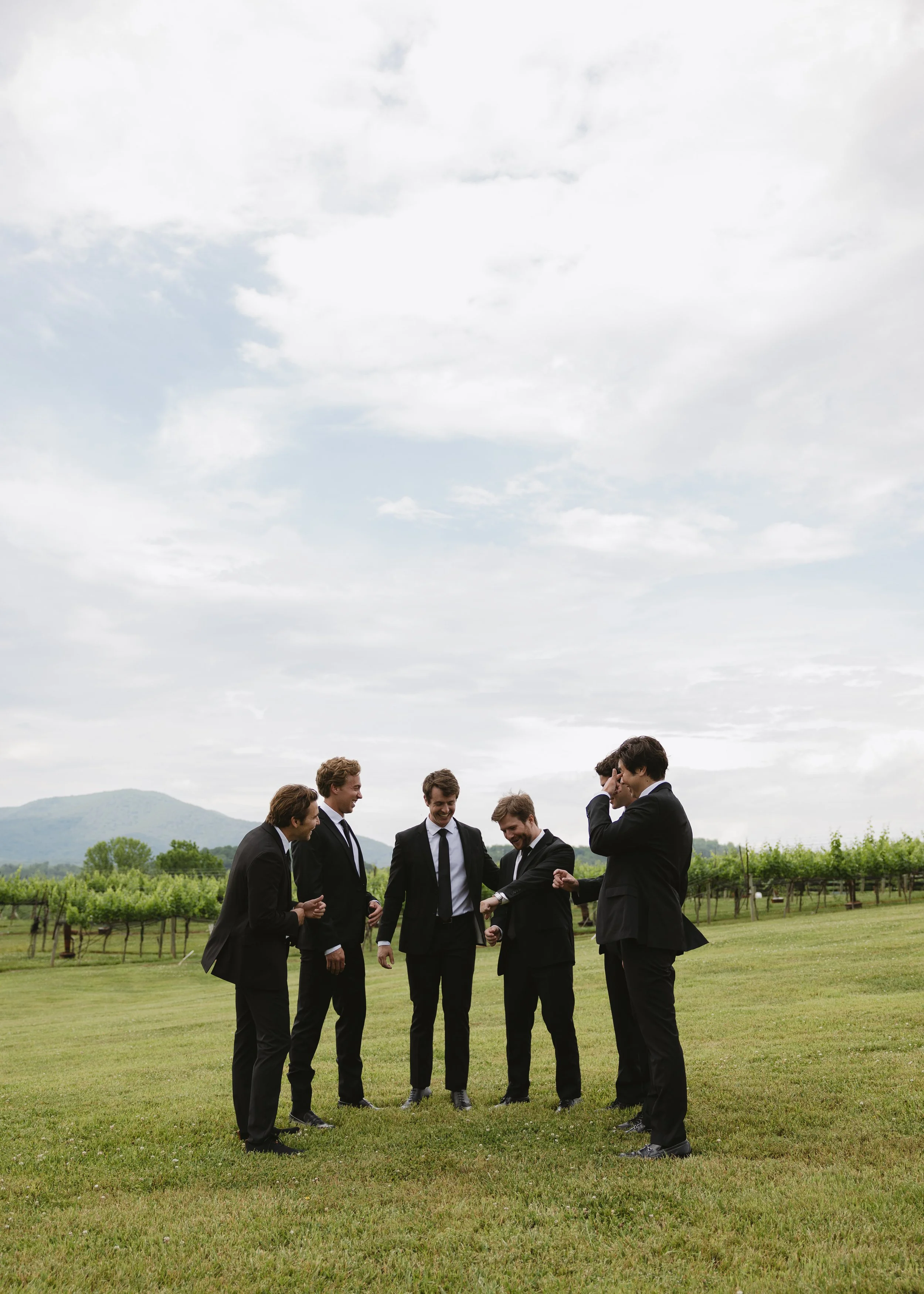 A group of seven men in formal suits standing and talking on a well-maintained grassy field outdoors, with vineyards and mountains in the background under a cloudy sky.