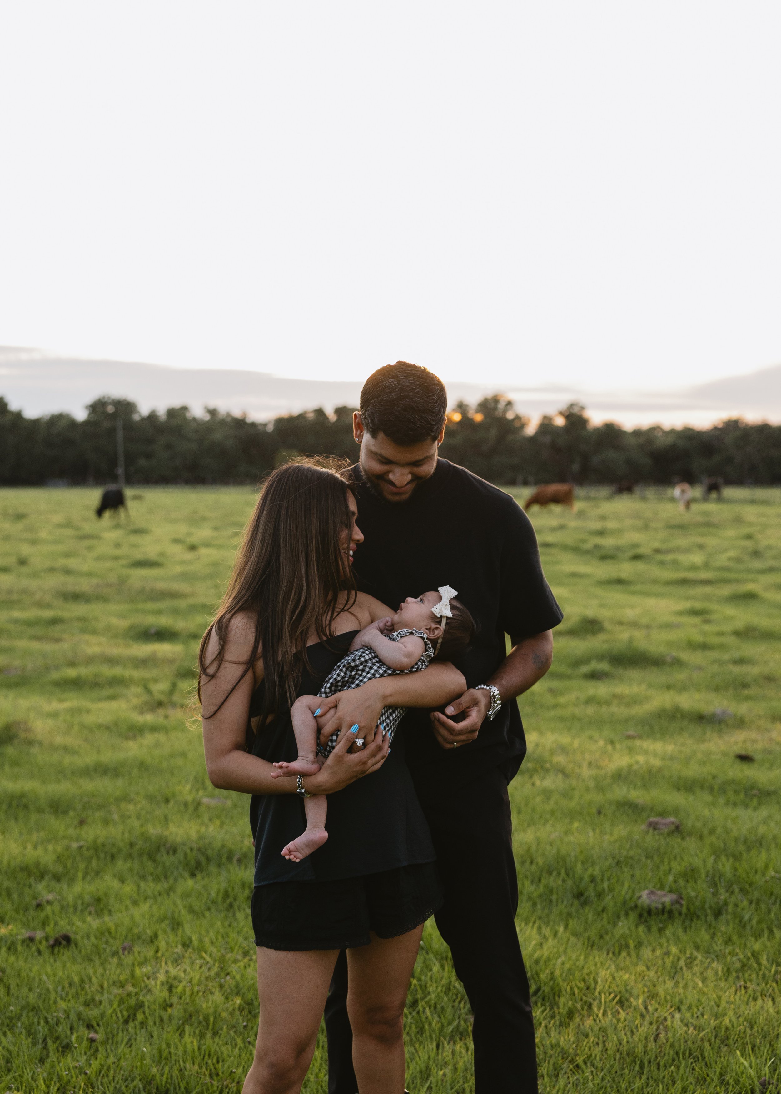 A young family stands closely together in a grassy field at sunset, the woman holding a baby with a bow in her hair, and the man looking lovingly at the baby, with cows grazing in the background.