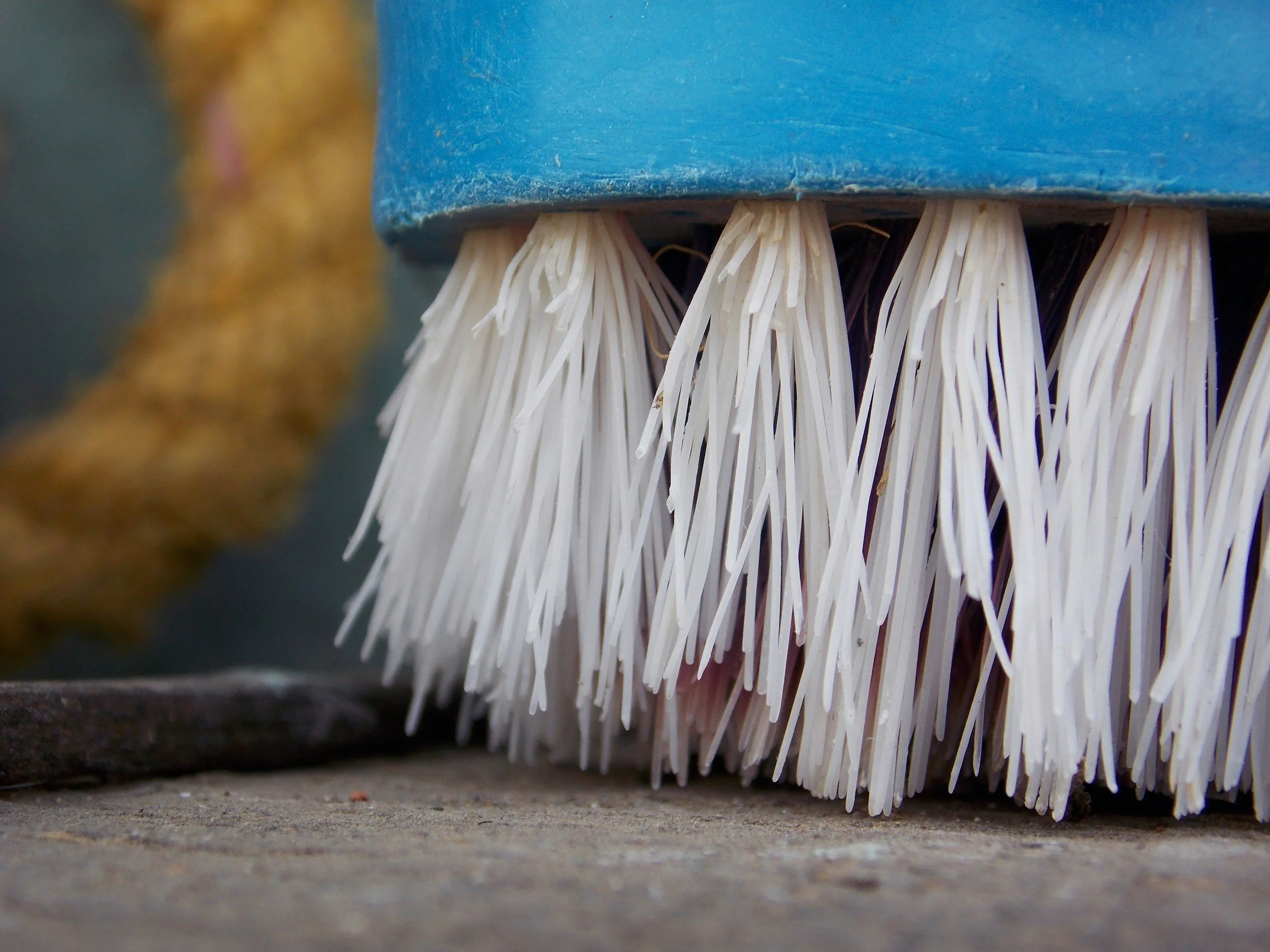 Close-up of the bottom of a blue brush with white bristles on a dark gray surface.