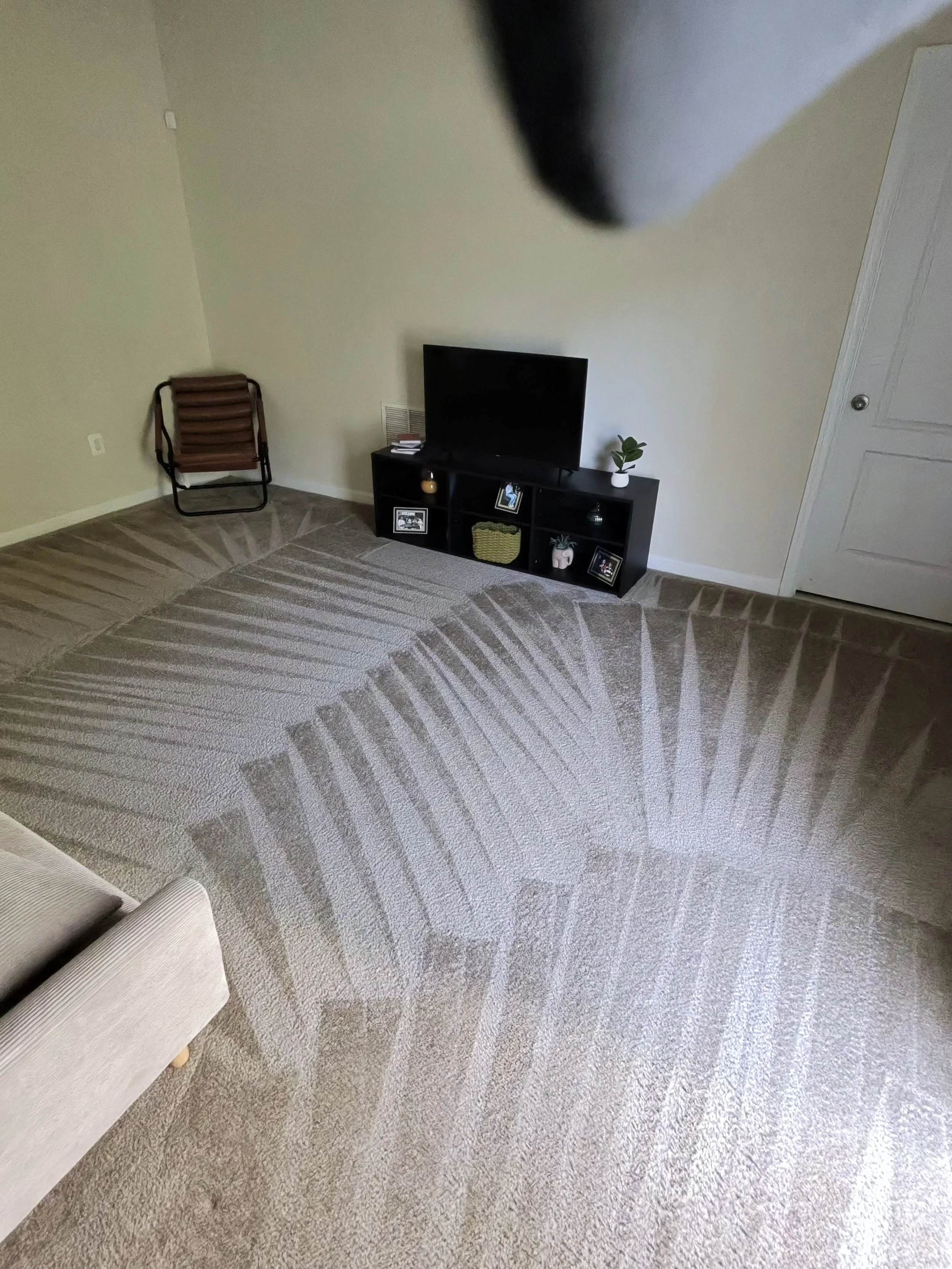 Professional carpet cleaning performed in bedroom