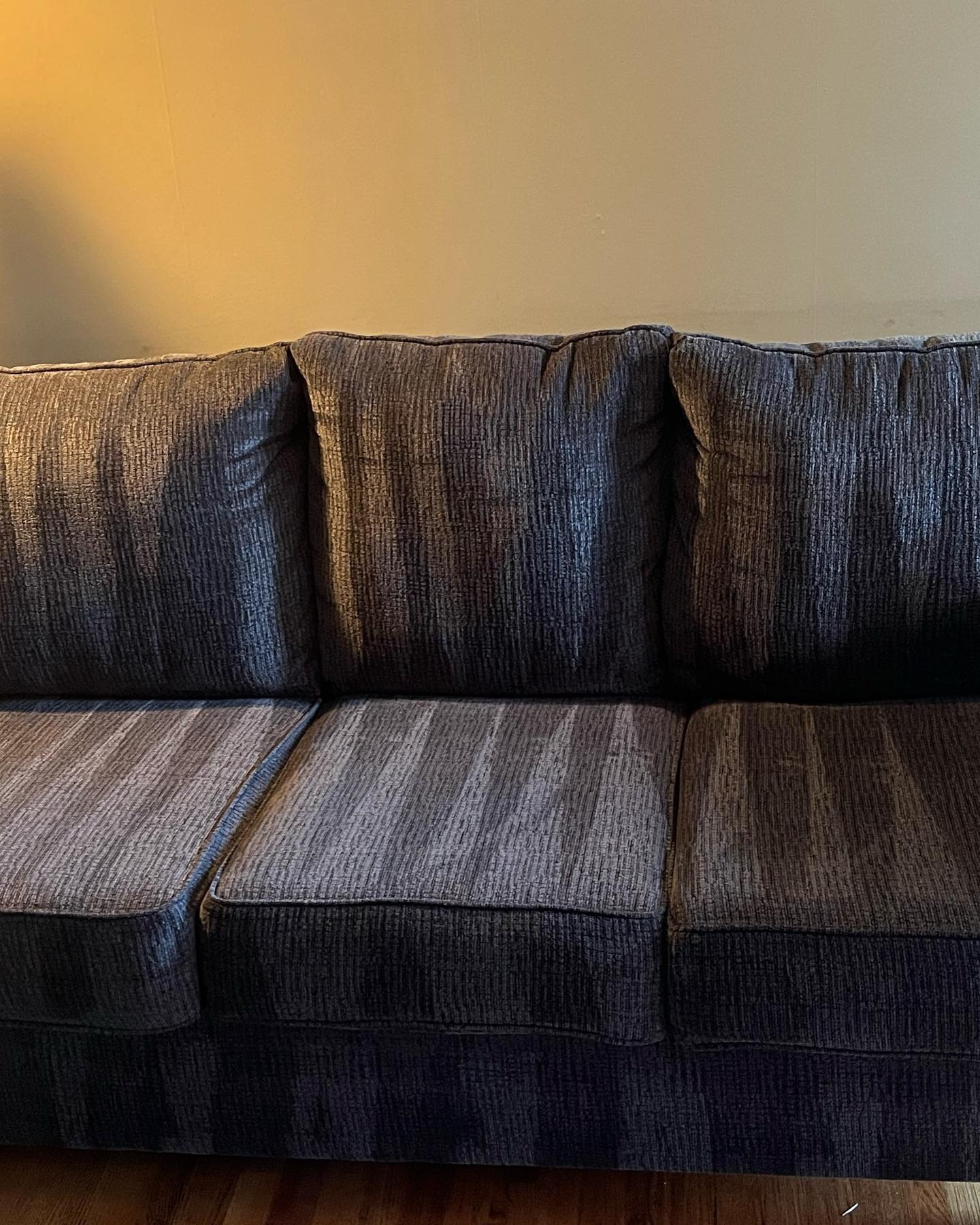 pet stained and odor treatment on upholstery