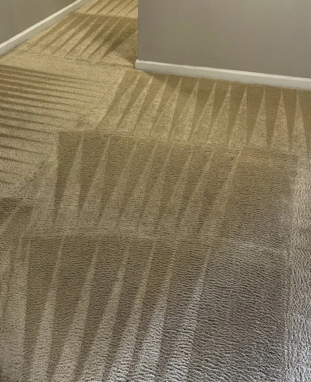 Carpet after professional cleaning