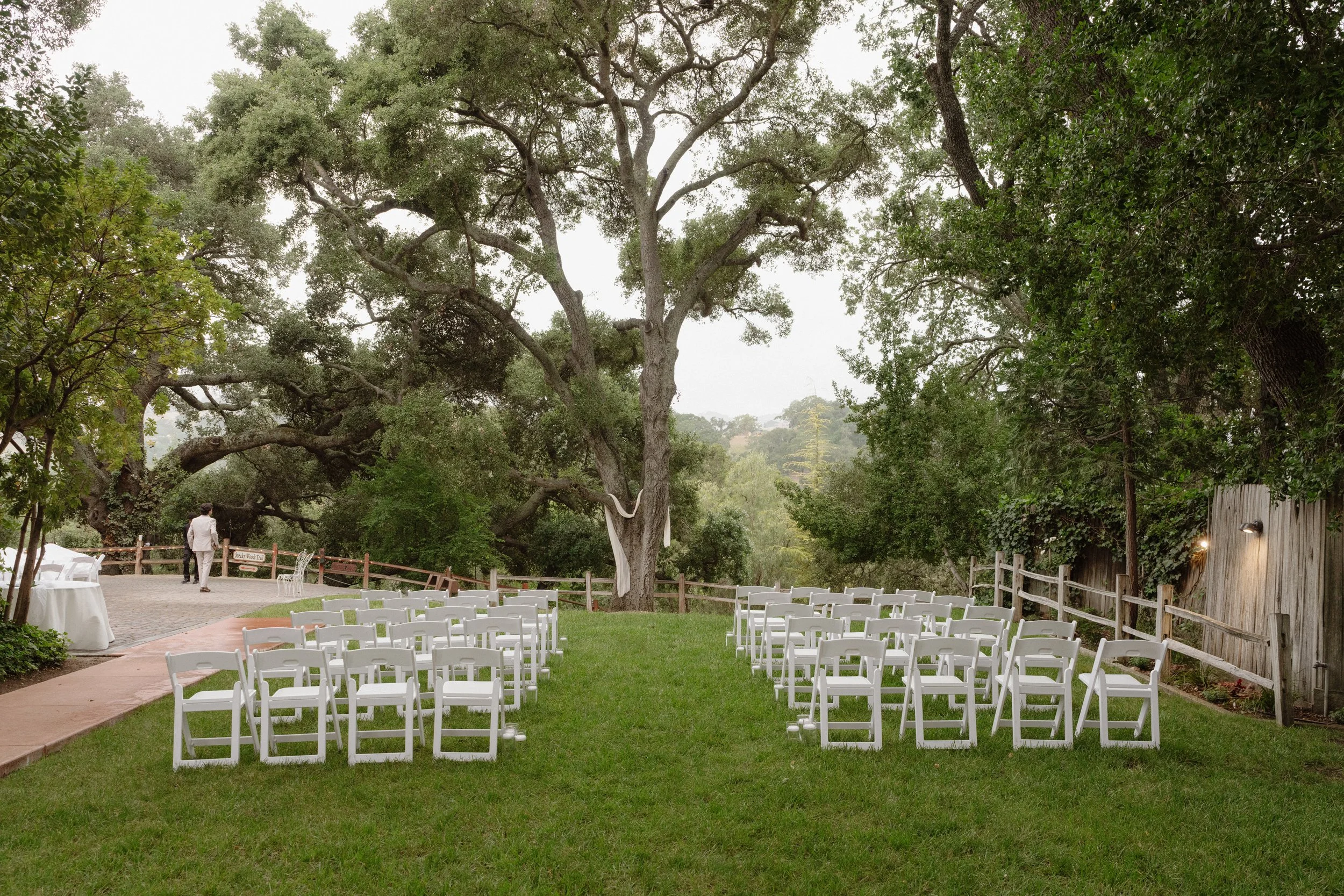 Outdoor venue setup with rows of white chairs on grass, large central tree, surrounded by greenery, with a person in a suit walking on a paved path, possibly for a wedding or event.