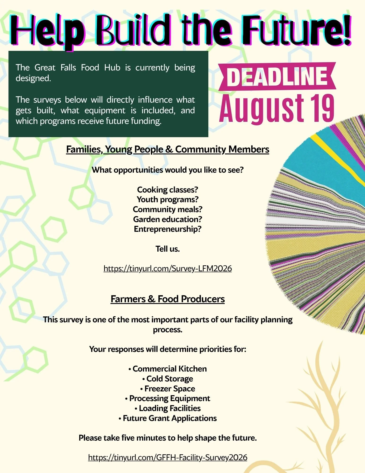 Flyer soliciting community input for a food hub's future plans, with a colorful, abstract background and a pie chart on the right.