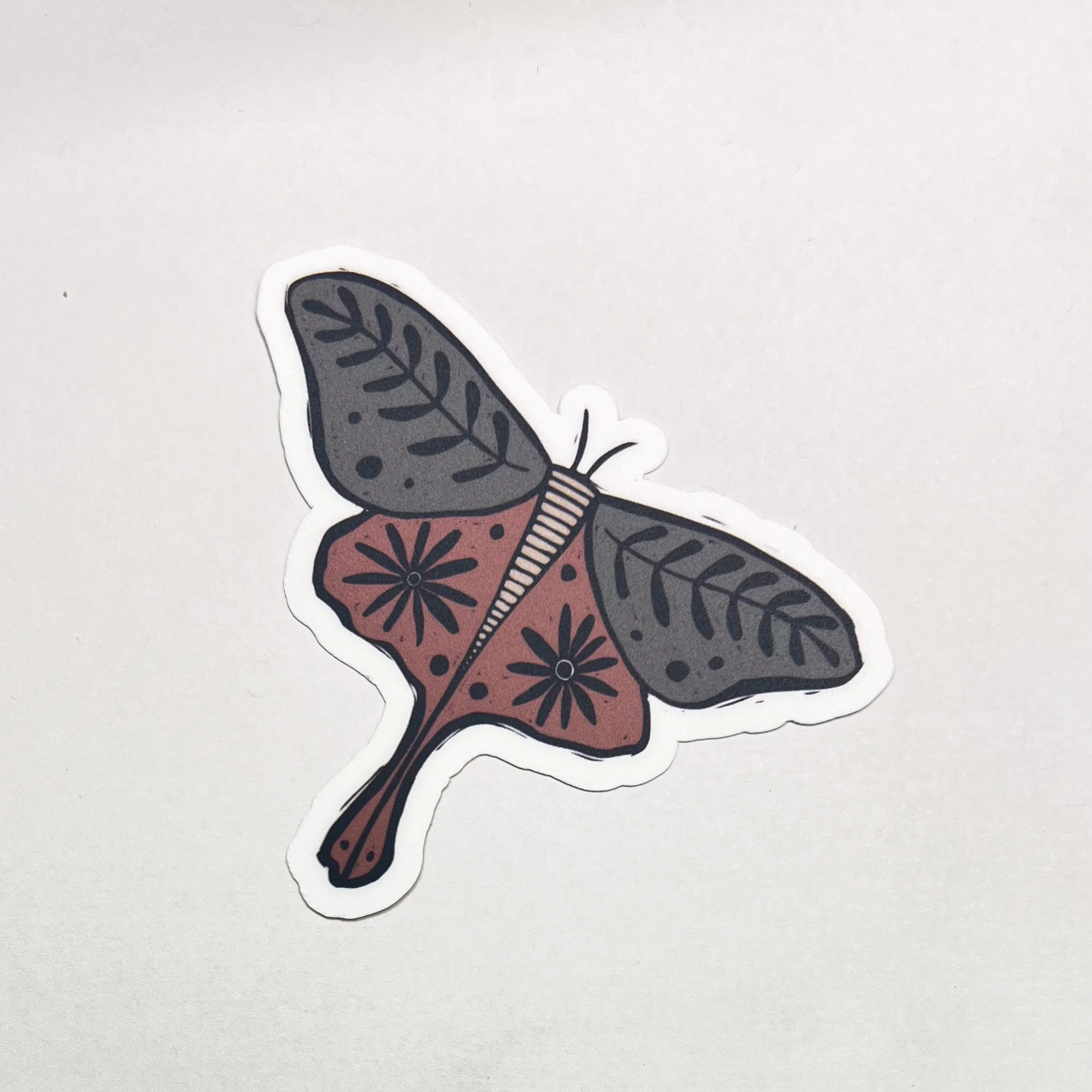 Cozy Moth