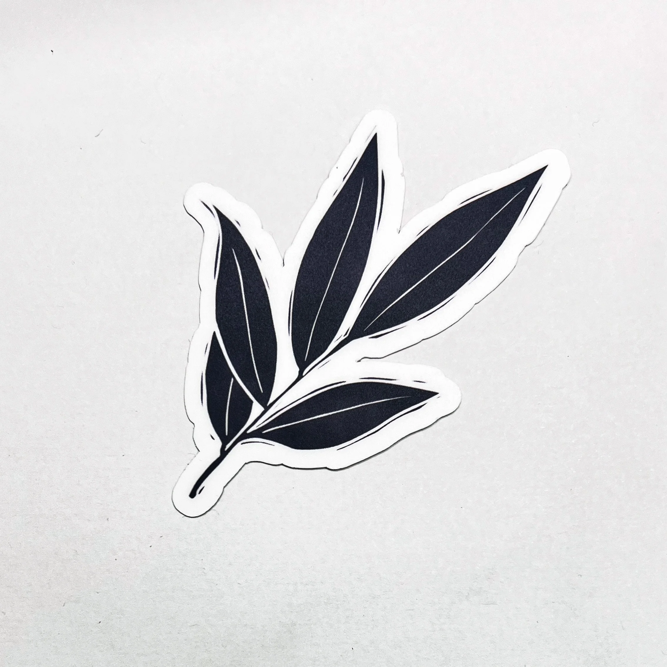 Willow Leaves