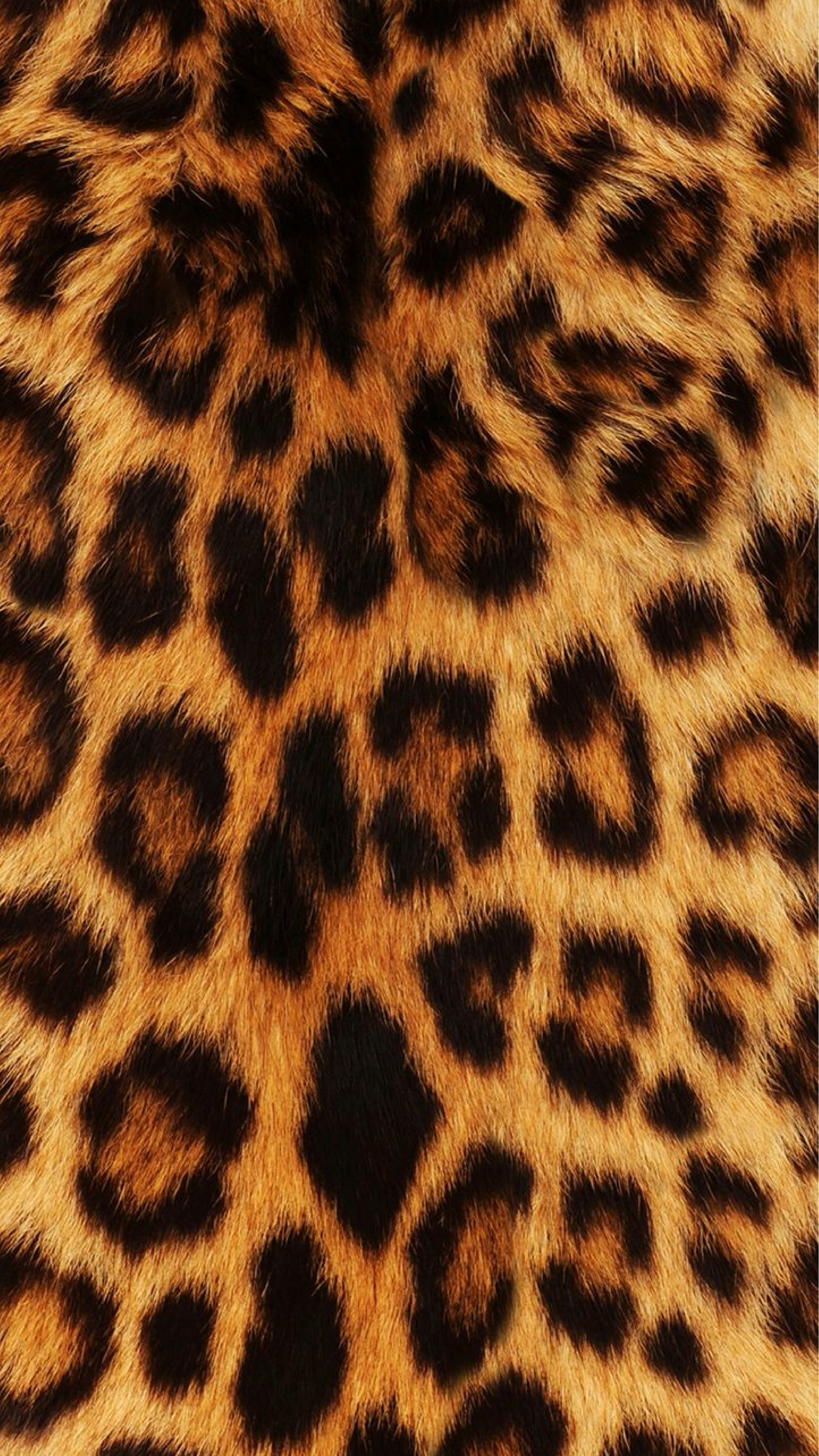 Close-up of animal fur with a leopard print pattern in brown, black, and tan colors.