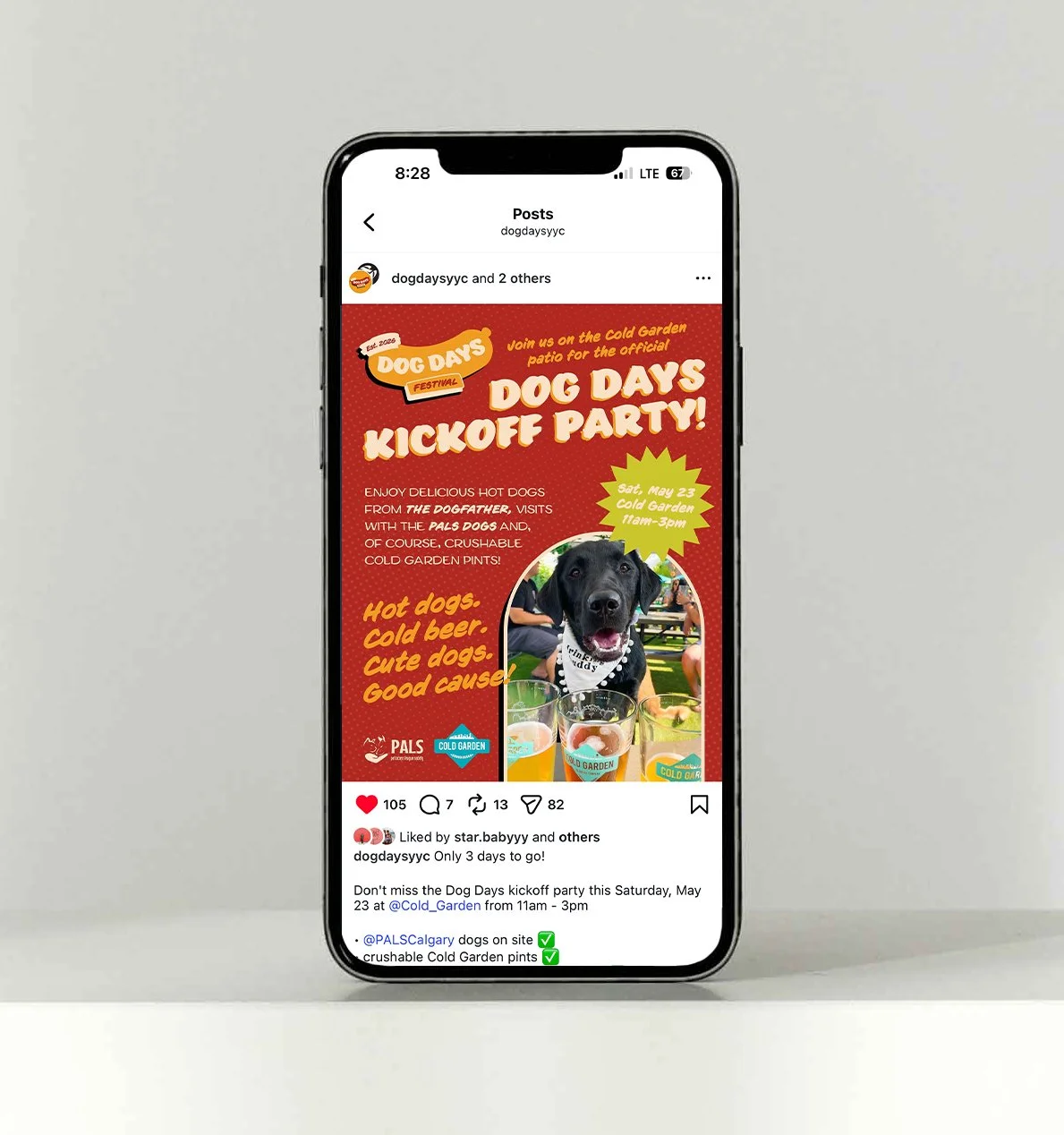 DogDays-socialmockup2.jpg