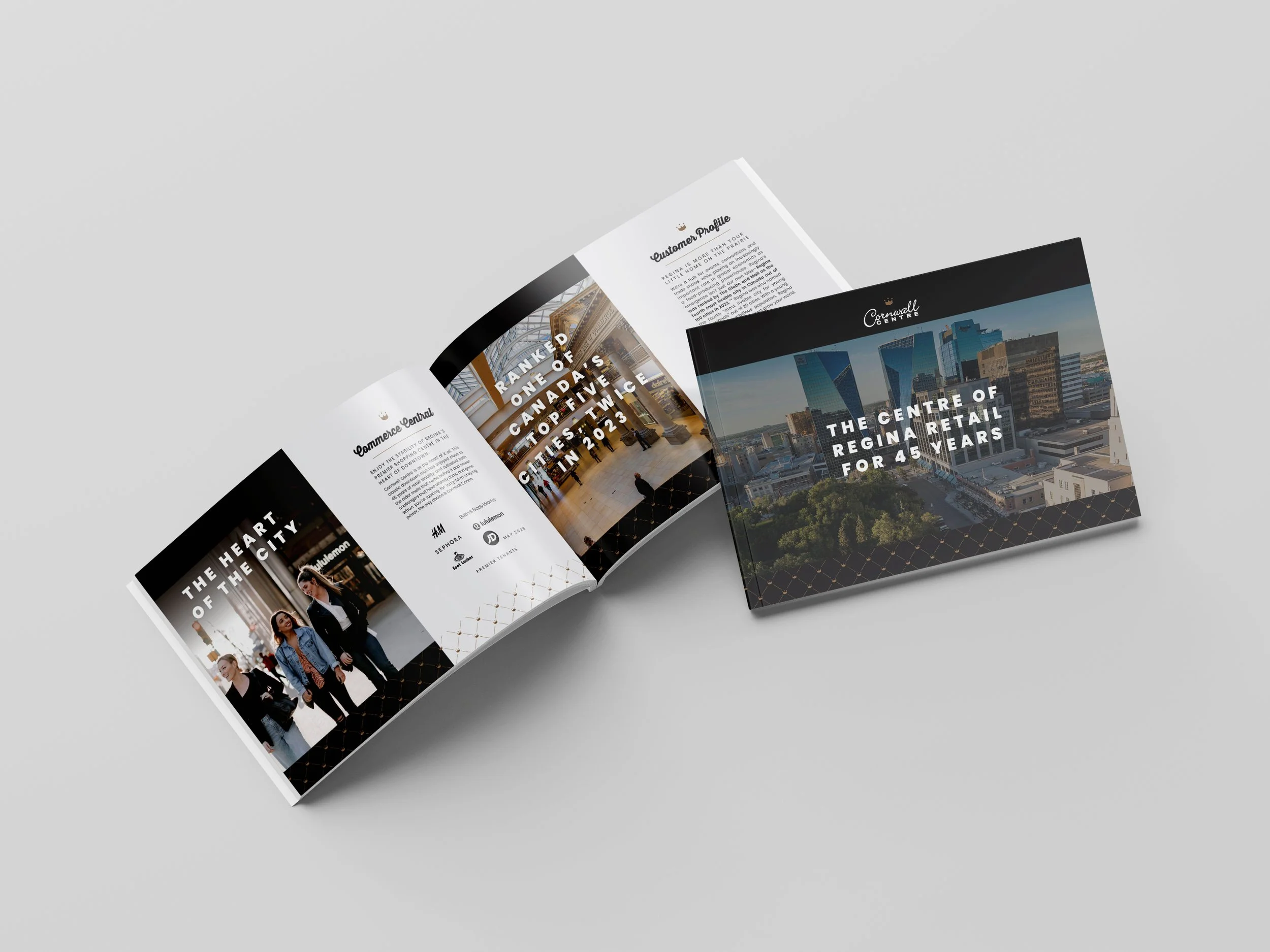 Brochure mockup.jpg