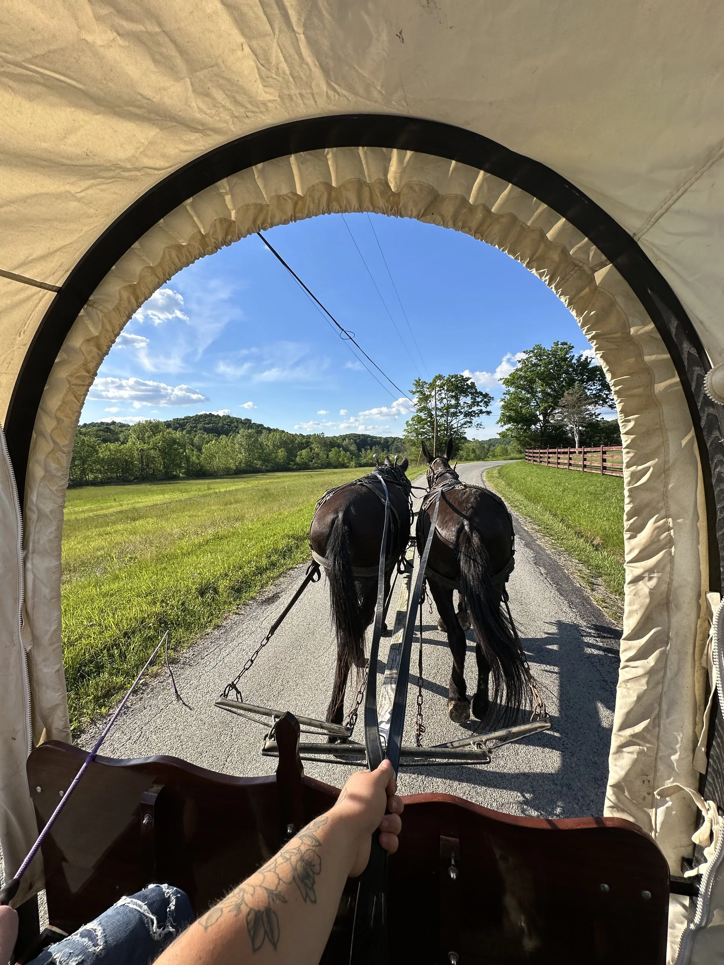 View from inside a covered wagon looking out onto a farm lane with horses pulling the wagon, green fields, trees, a wooden fence, and a blue sky with some clouds.