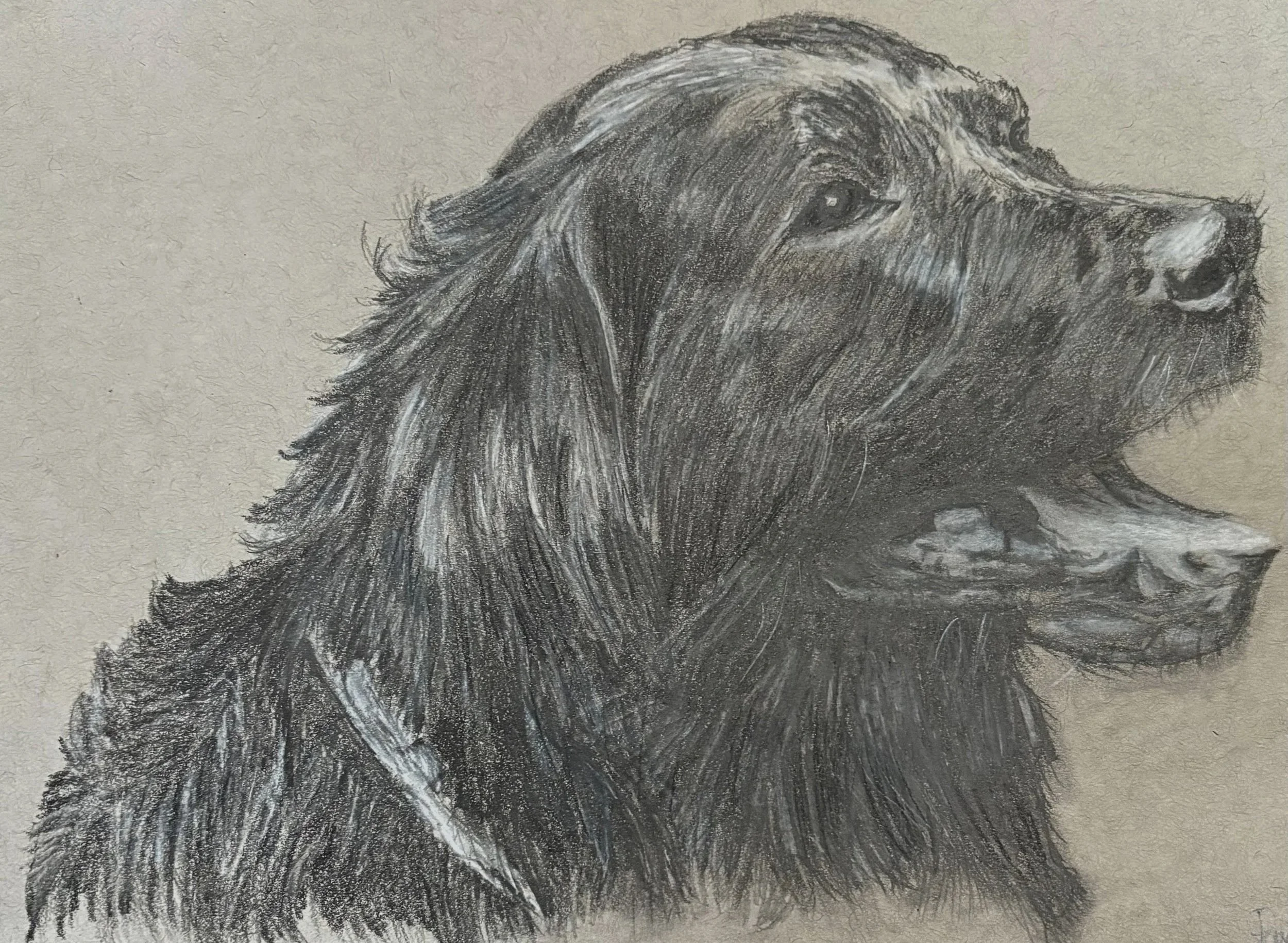 Best Art Class Kitchener Waterloo