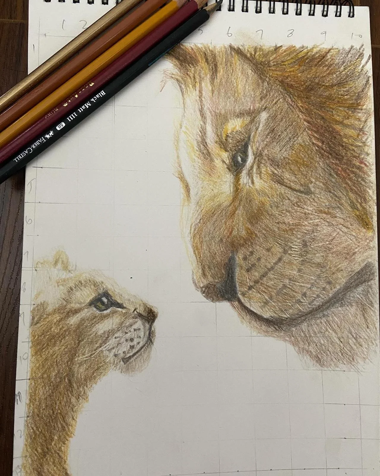 pavitra_check_lion1_testing file.jpeg