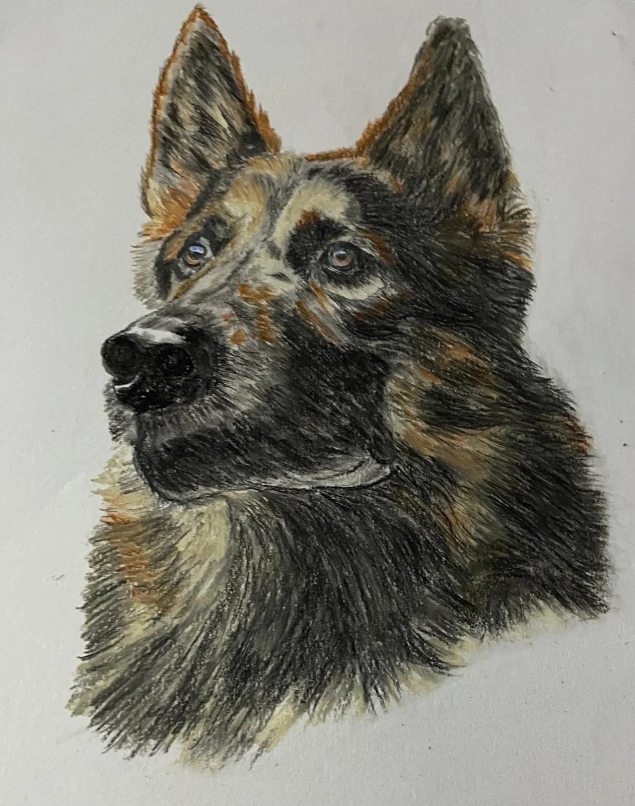 Best Art Classes Kitchener Waterloo