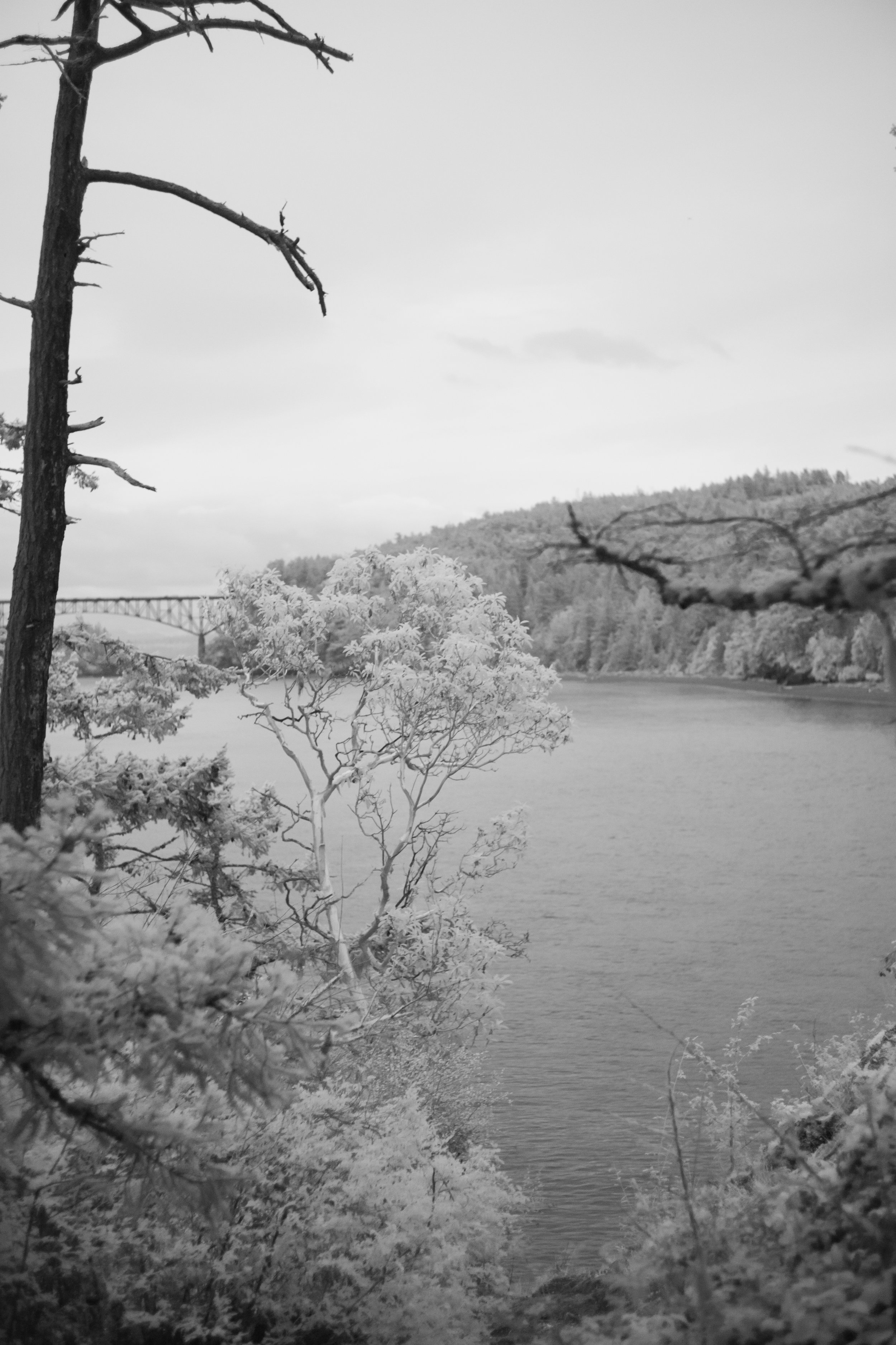 LM104931.jpg