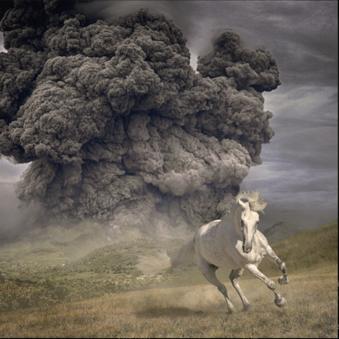 The White Buffalo / Year Of The Dark Horse / Second Engineer / 2022