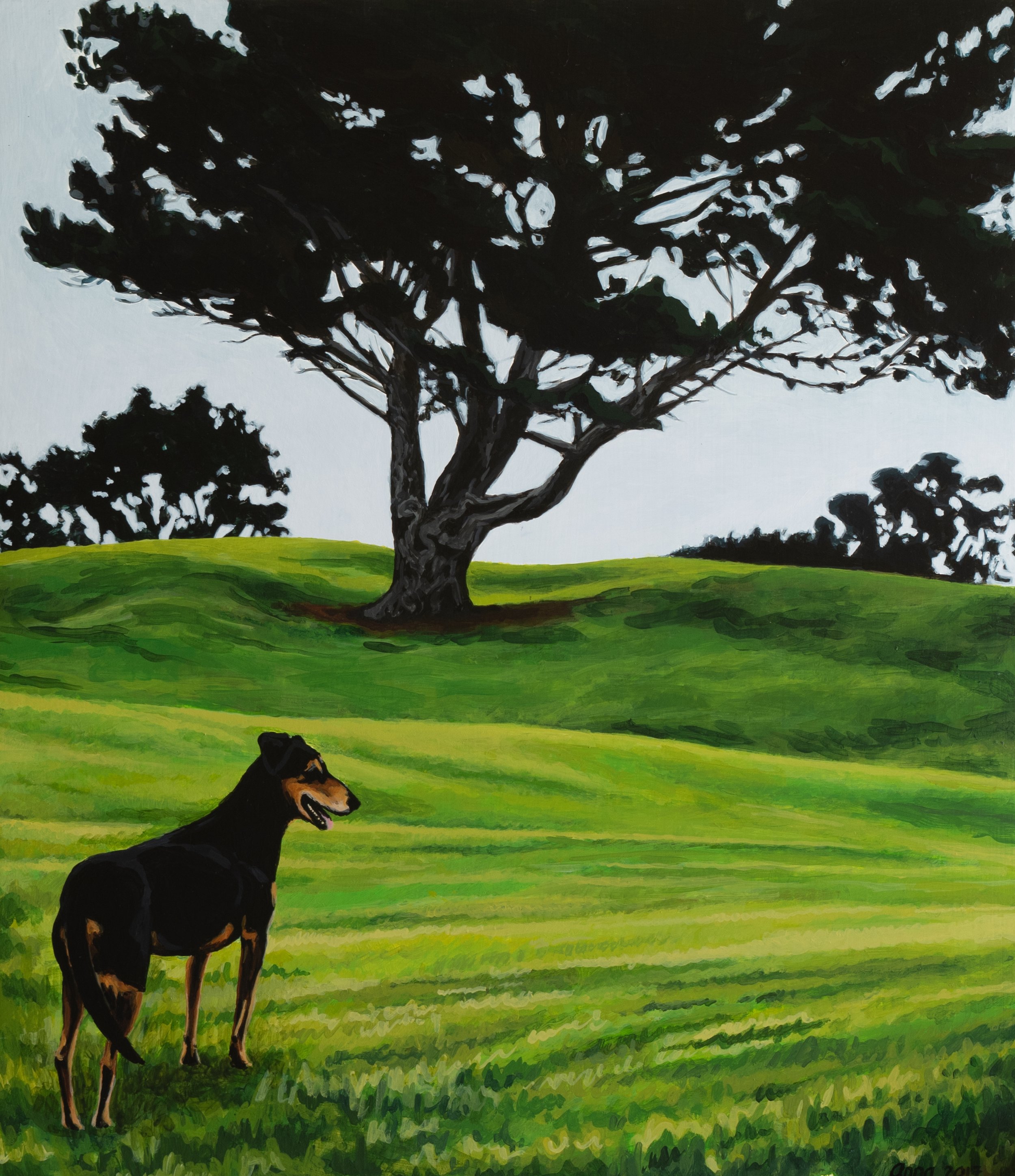 Lucy at Fitzroy Golf Course - 2020