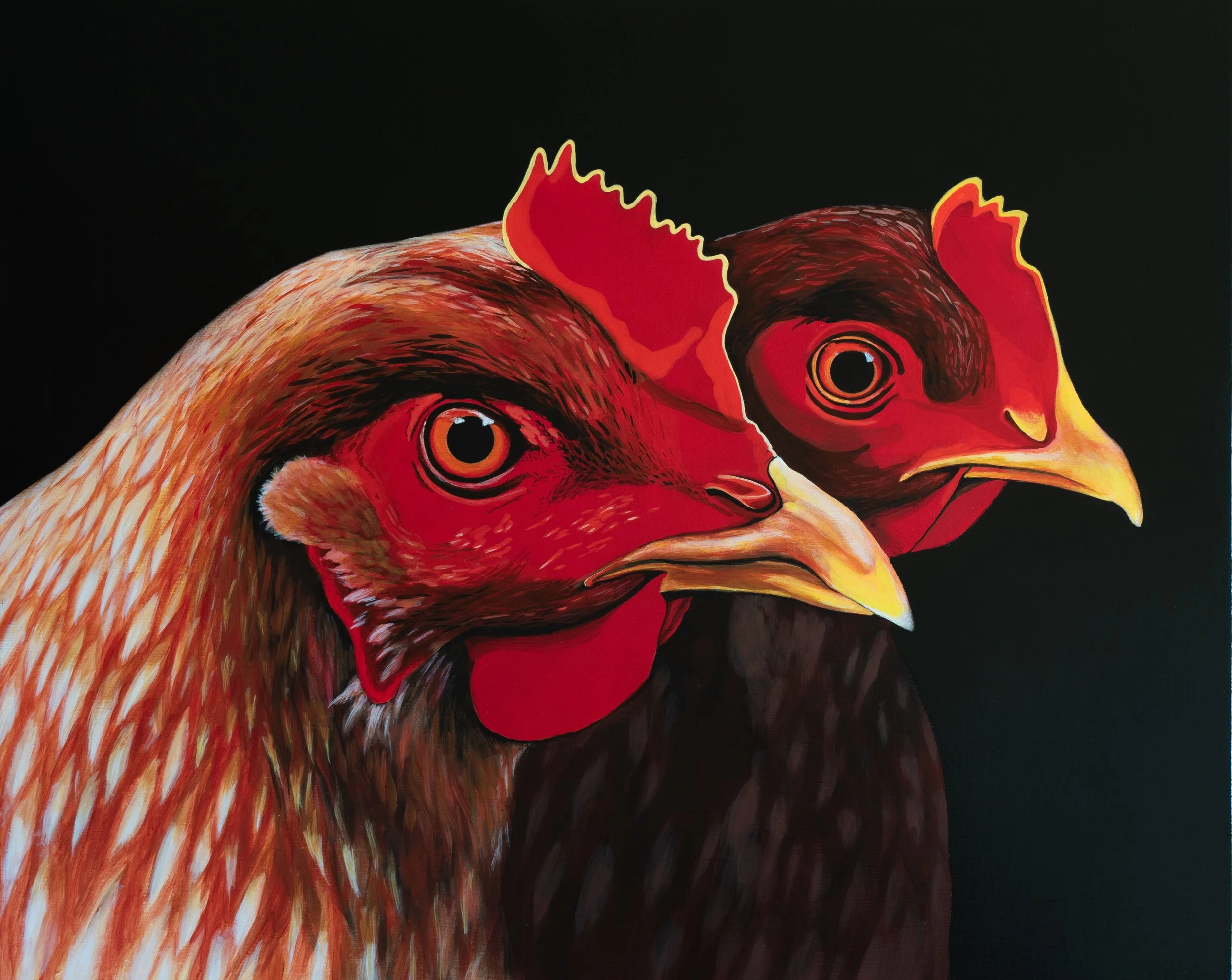 The Chooks