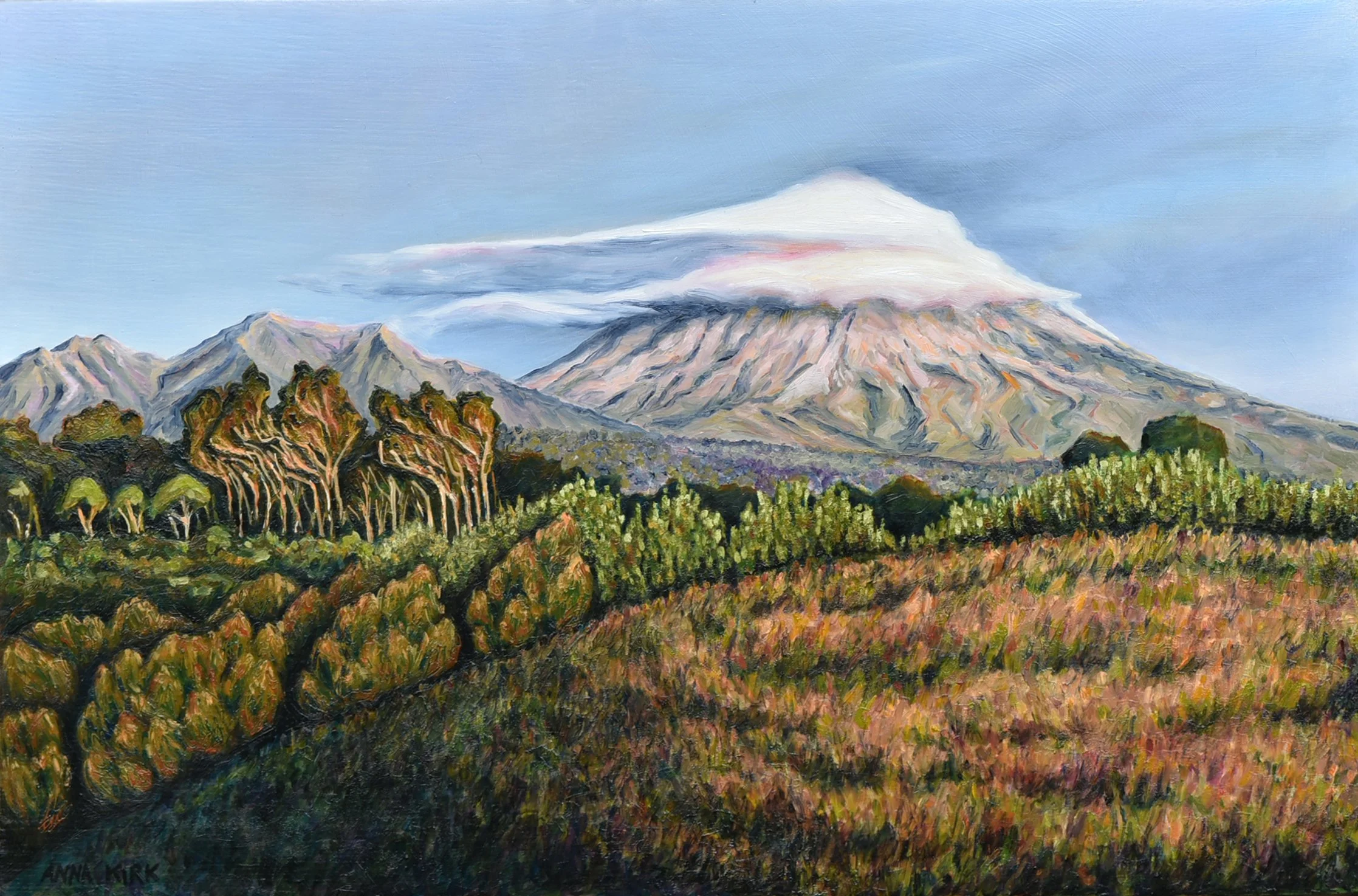 Mt Taranaki from Perth Road